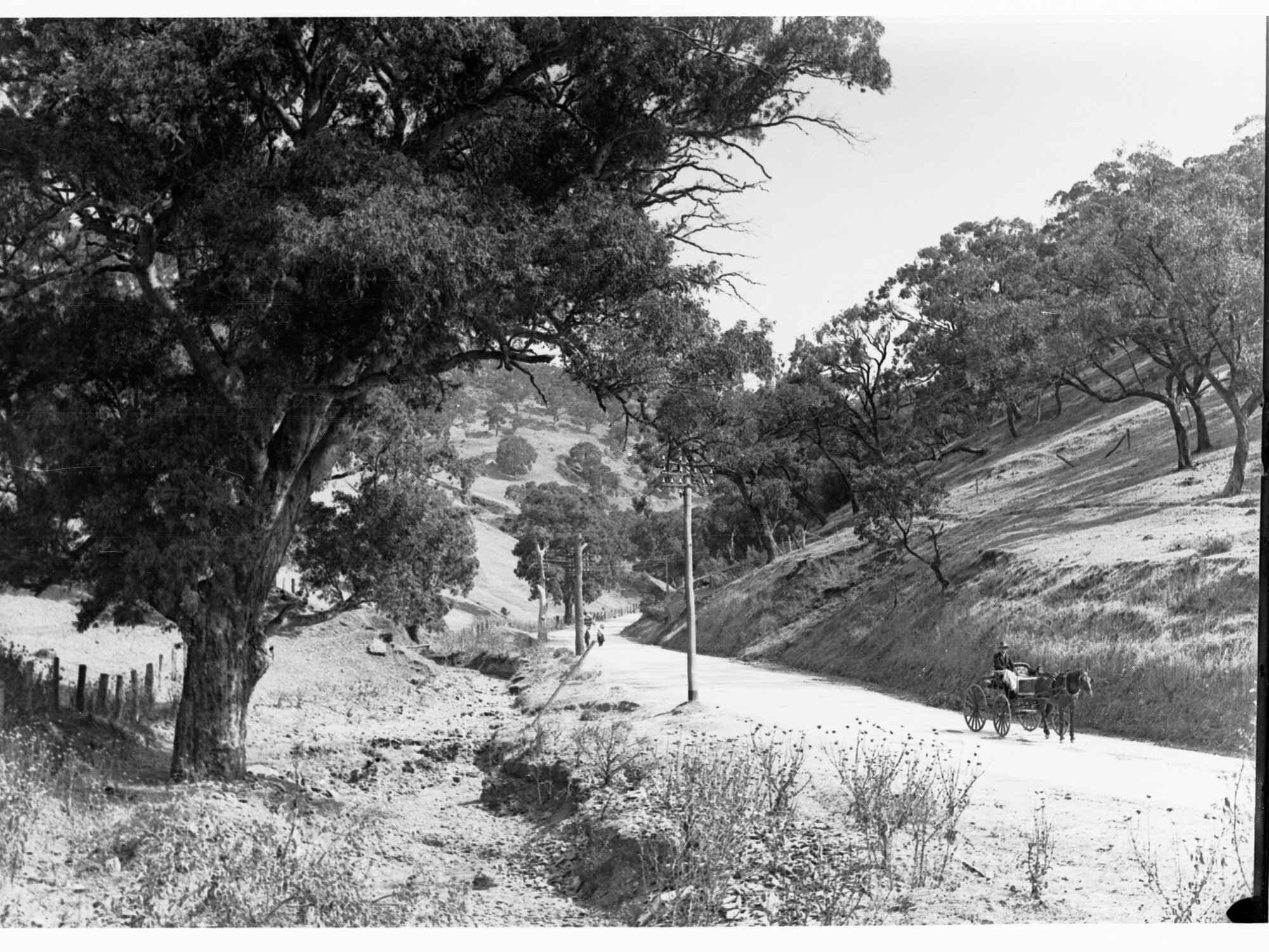 Mount Barker Road near Glen Osmond