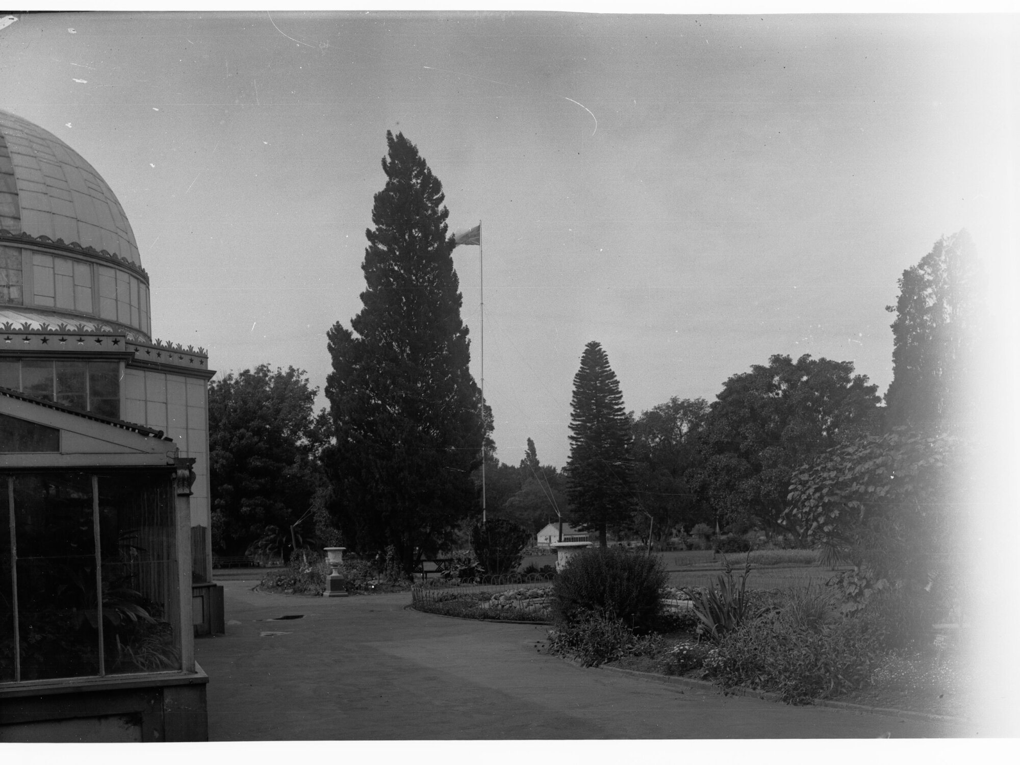 Botanic Gardens showing part of the conservatory