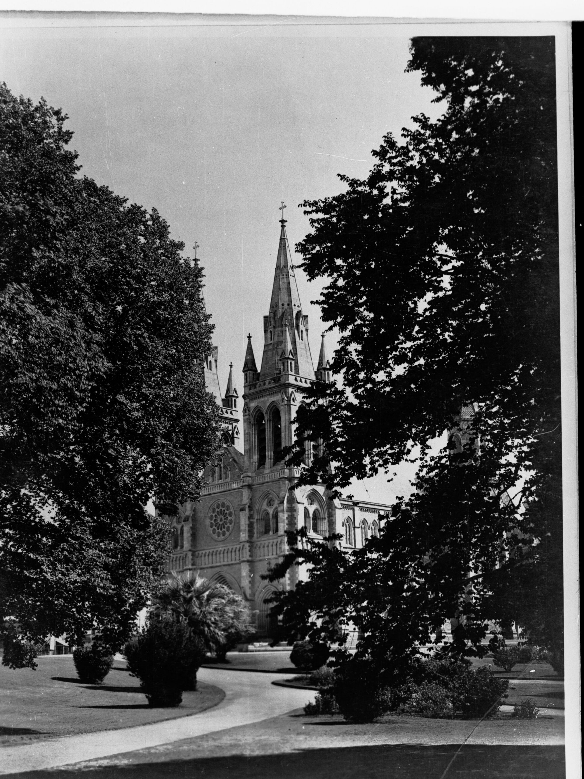 Saint Peters Cathedral Creswell Gardens