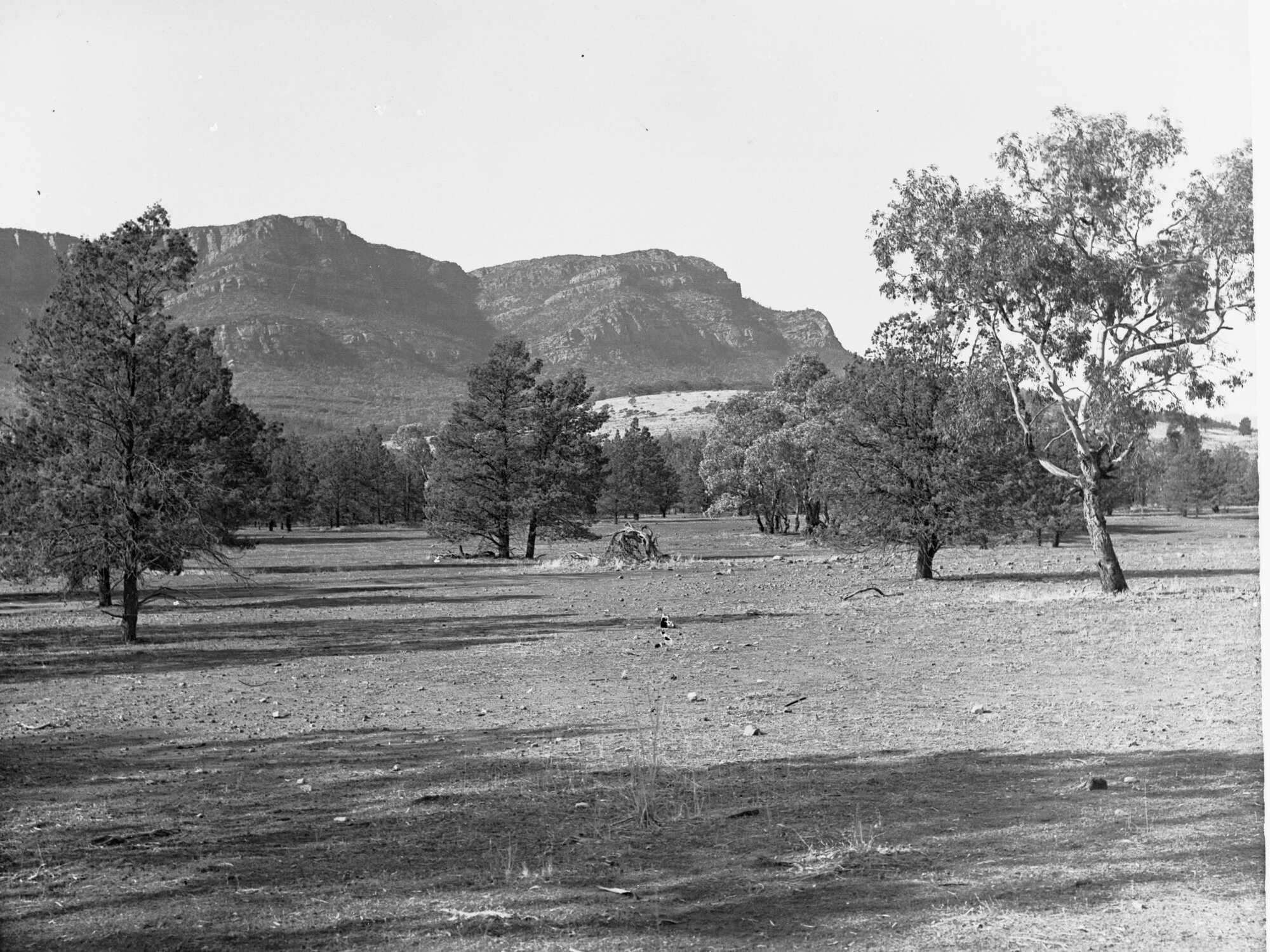Southern Boundary Wilpena Pound Flinders Ranges