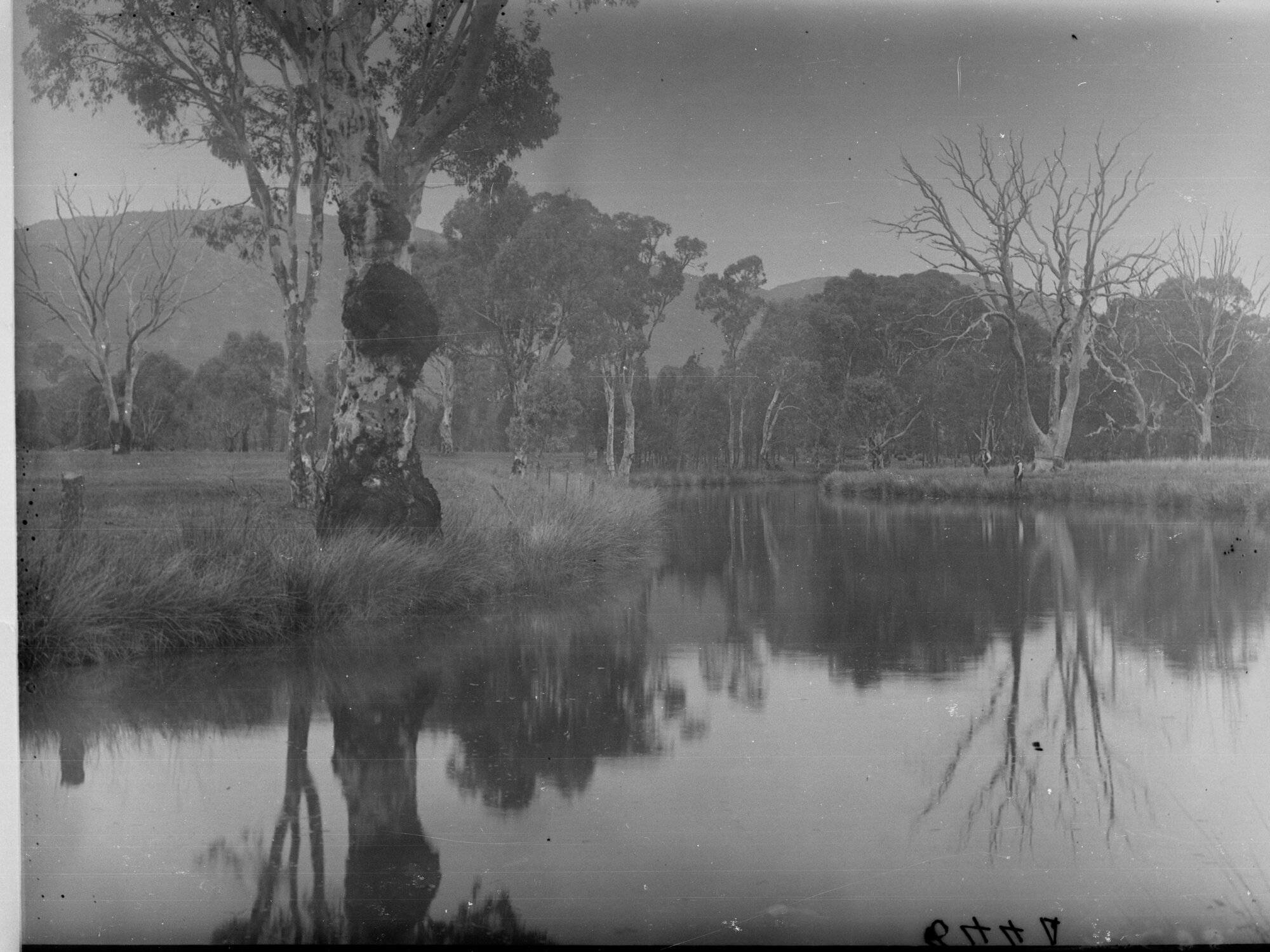 Wilpena Pound East Boundary