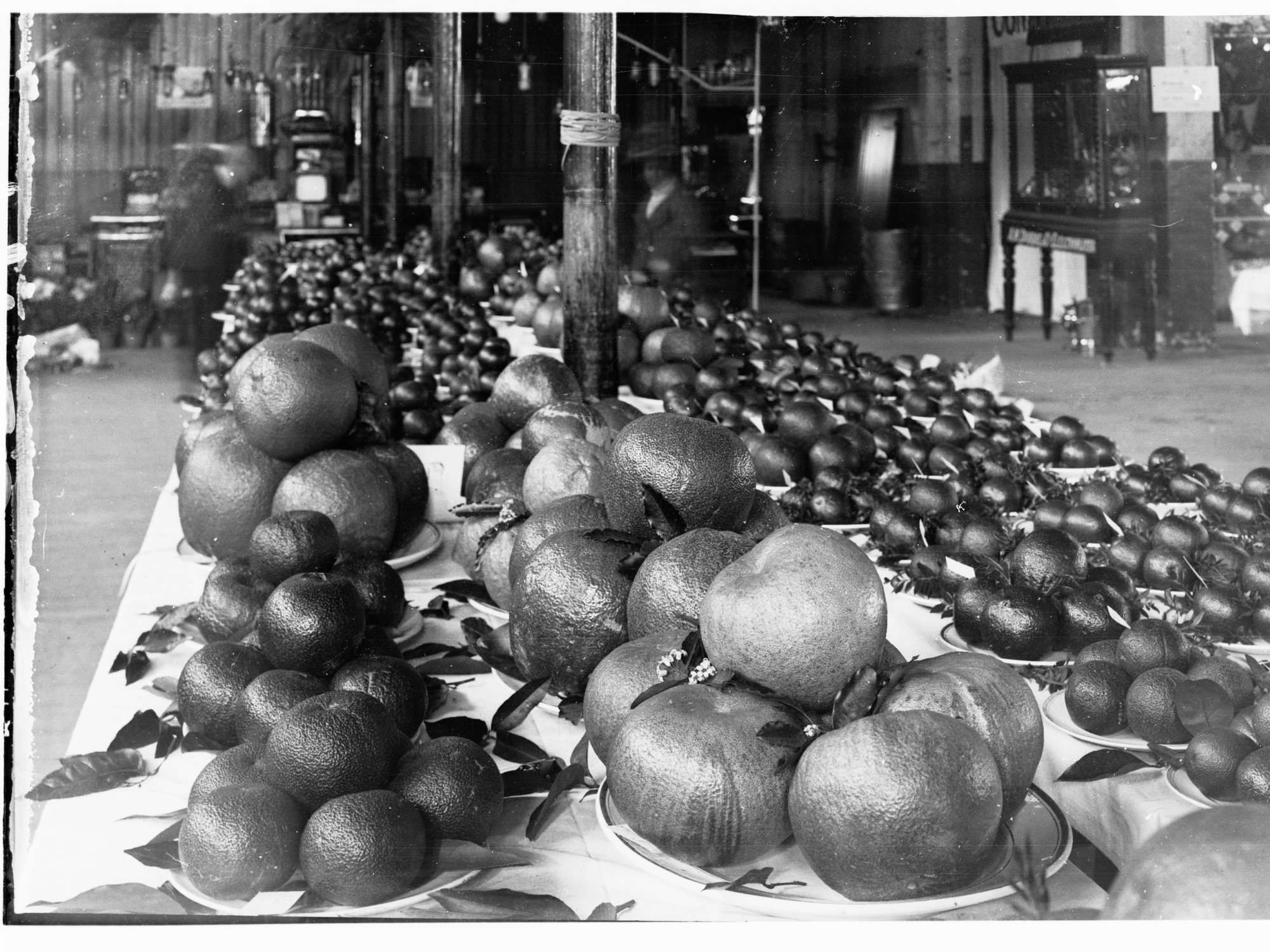 Orange Exhibition at Royal Adelaide Show