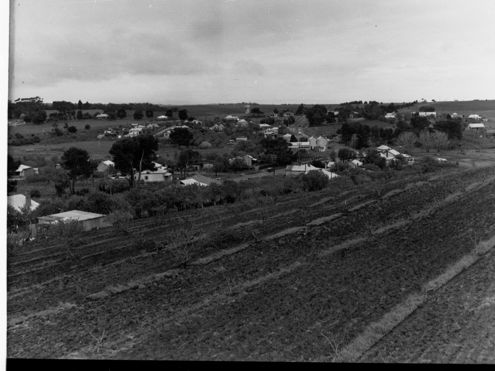 View of the Township at Reynella