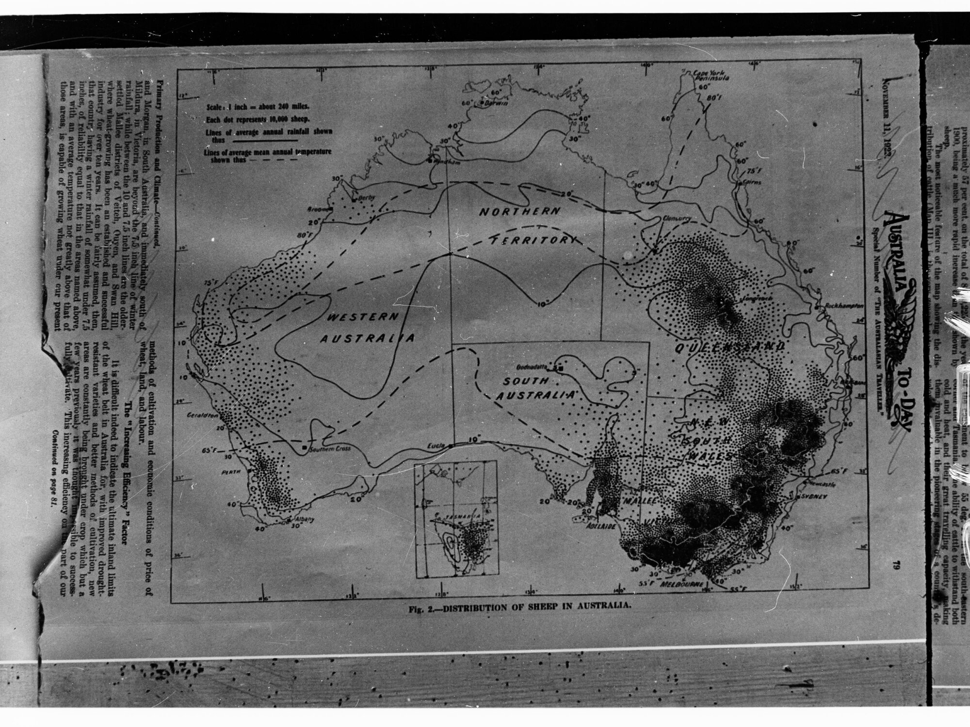 Map showing Distribution of Sheep in Australia - from newspaper called Australia Today