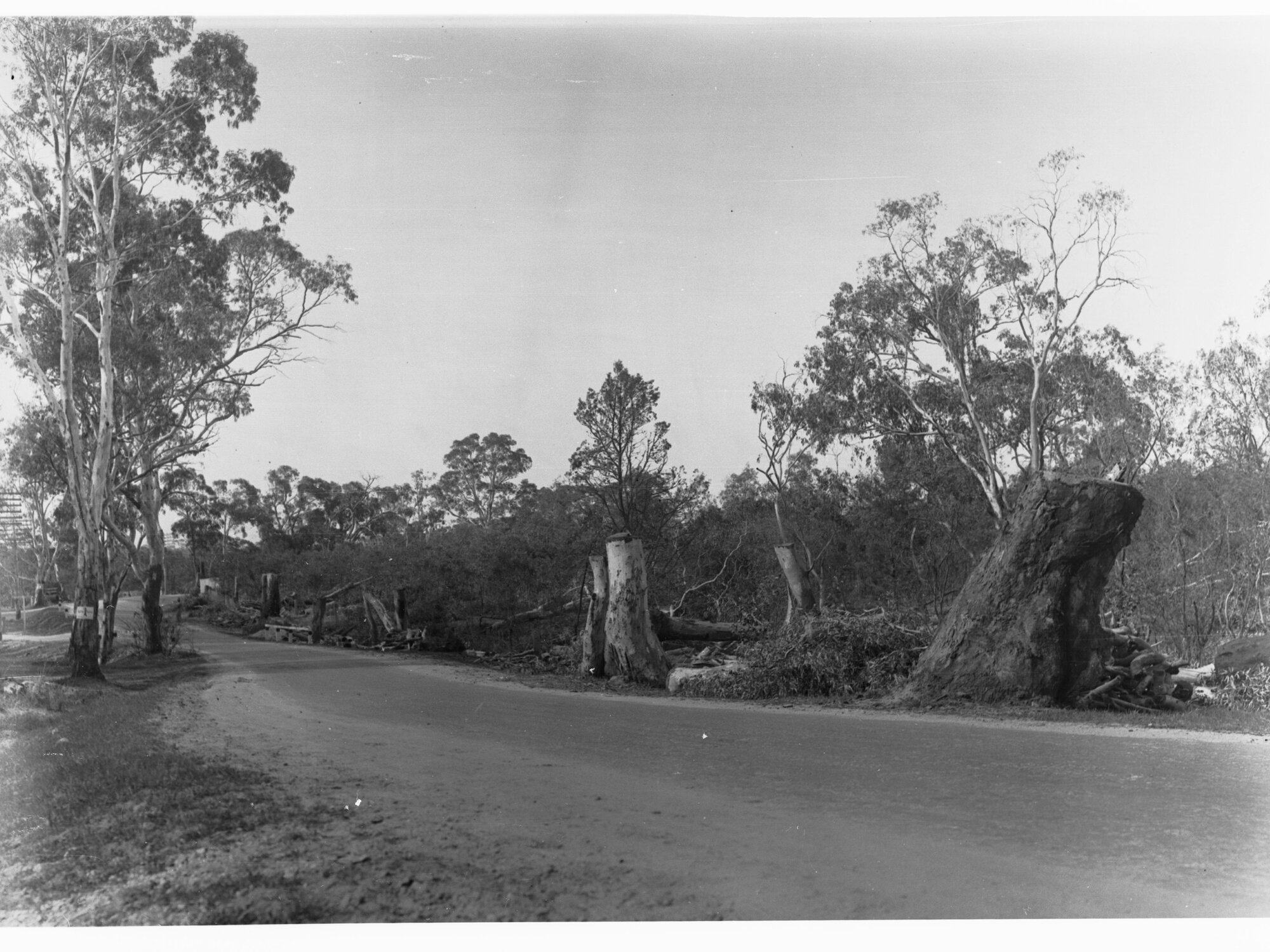 Sandy Creek and Lyndoch showing orad