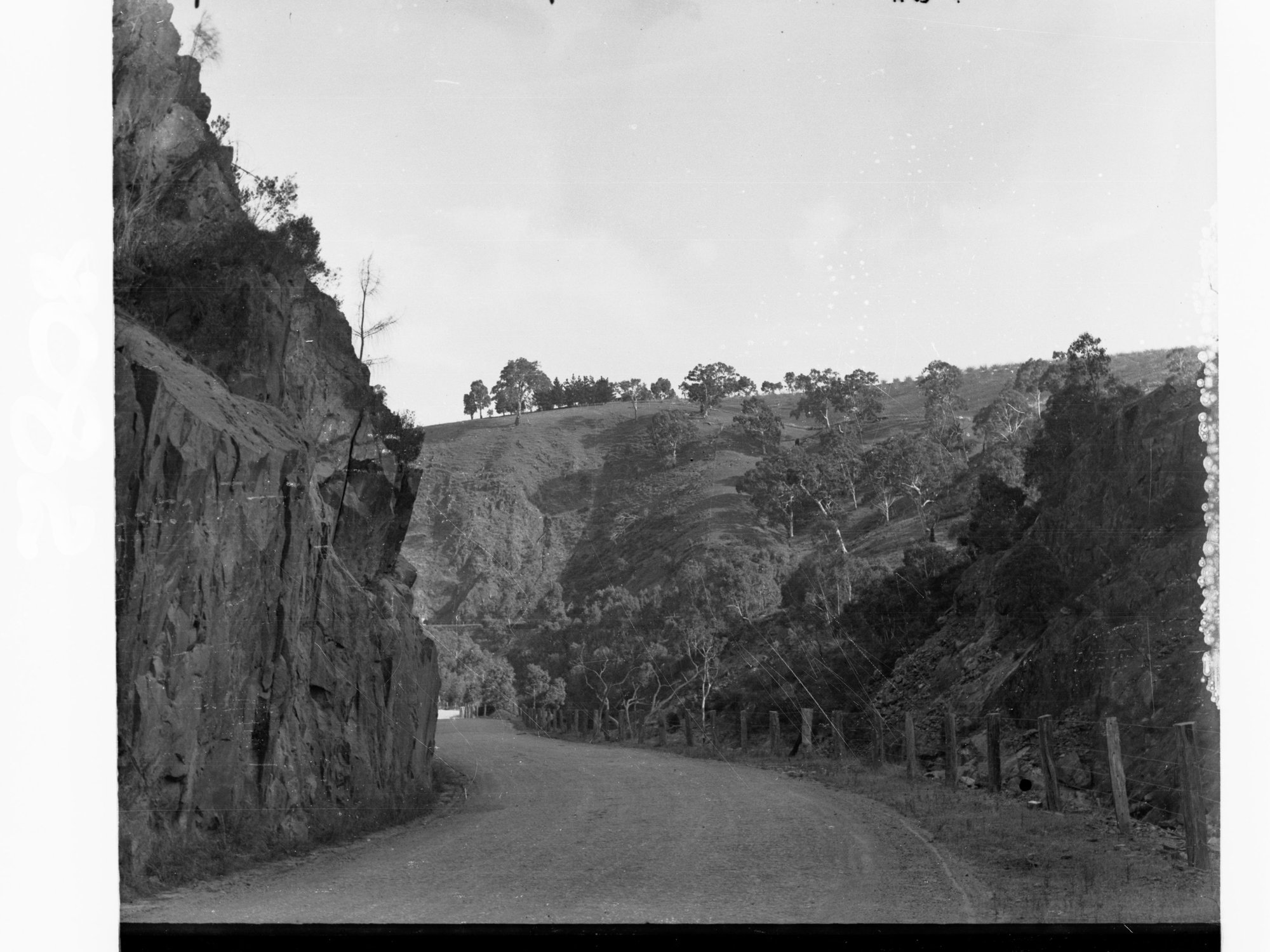 Torrens Gorge Road