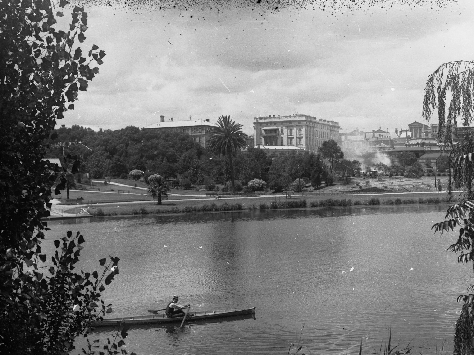 Man in a rowboat on the River Torrens
