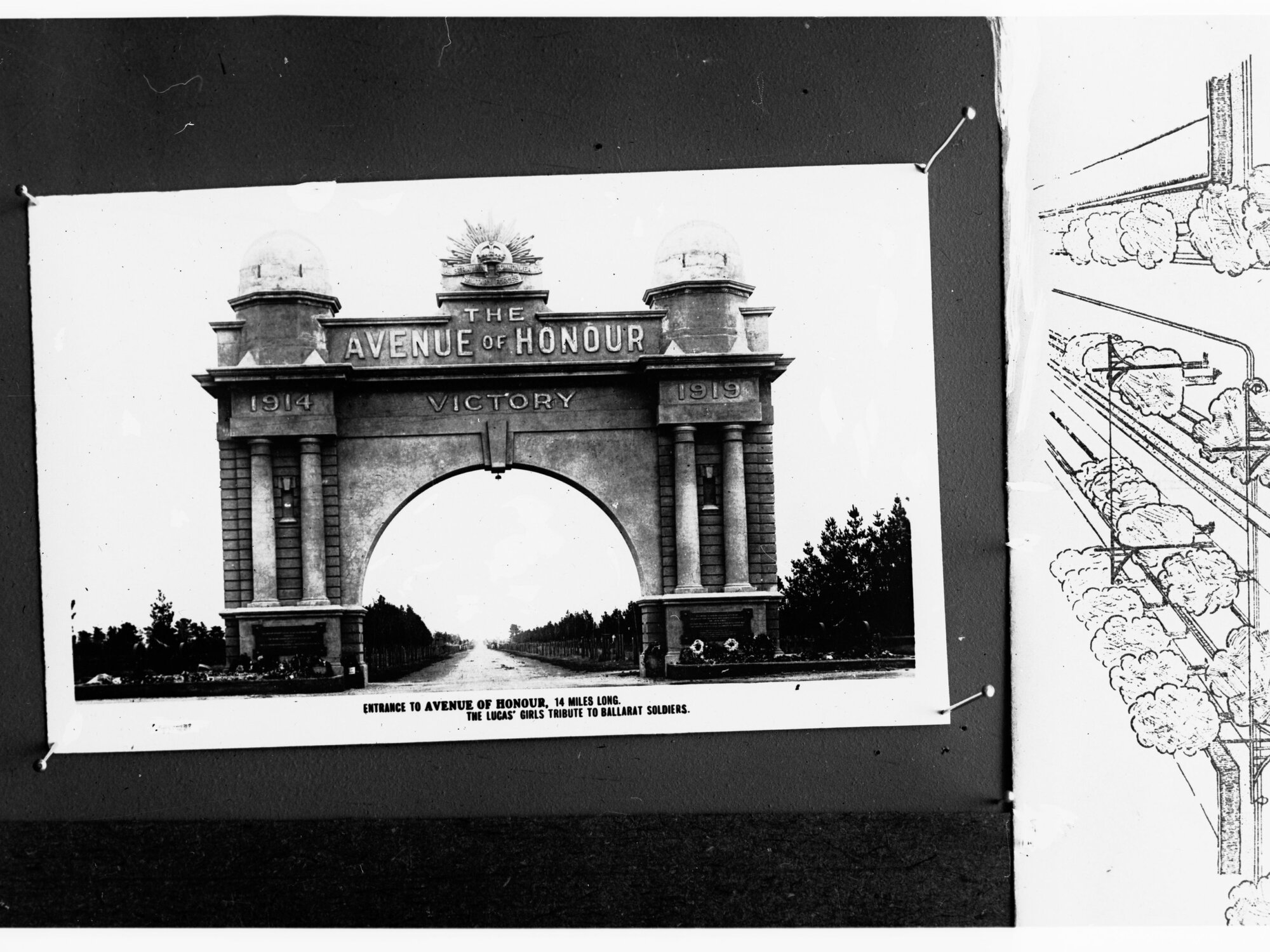 Entrance to Avenue of Honour, 14 miles long - the local girls' tribute to Ballarat soldiers