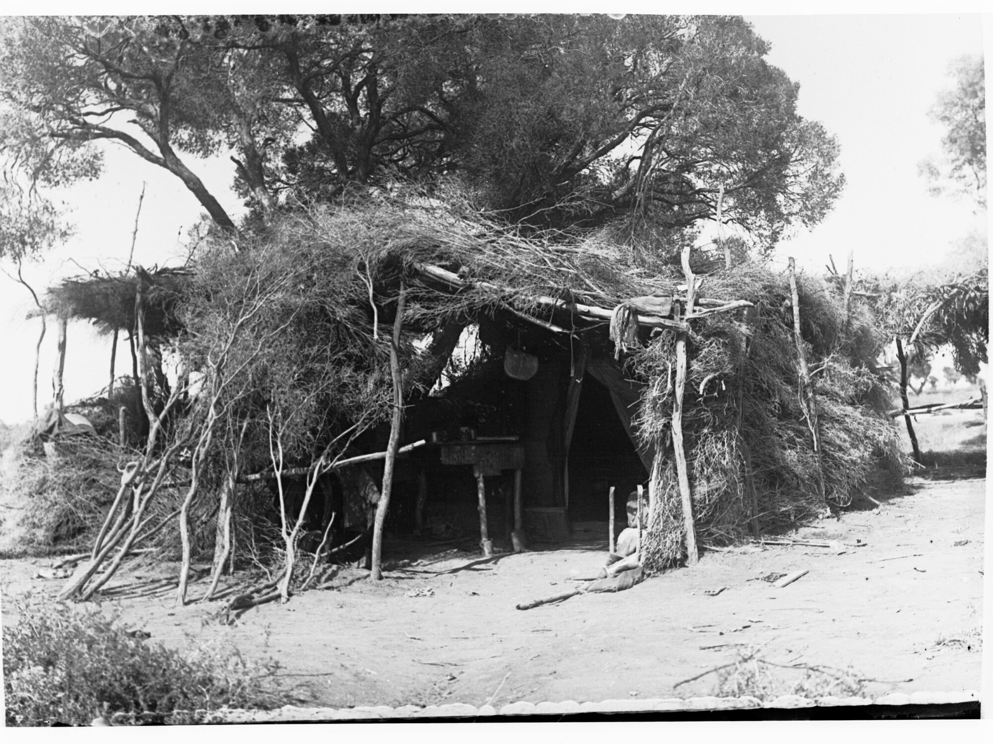 Bushman's Camp - Far North showing hut made from natural vegetation