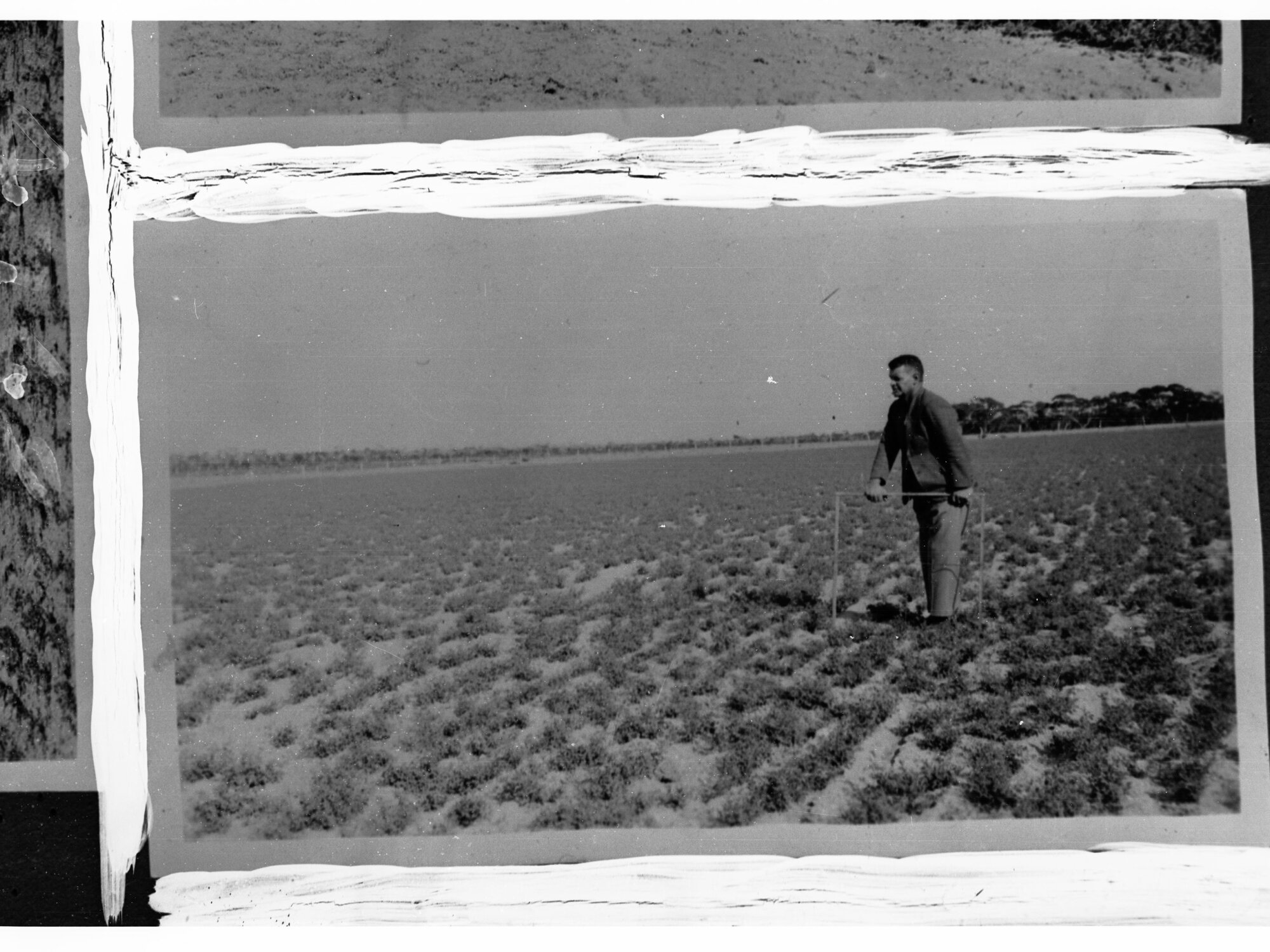 Man Standing in Fields of Lucerne