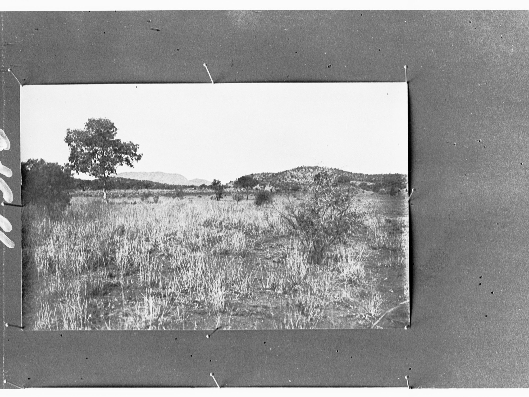 Rural view, hills in distance