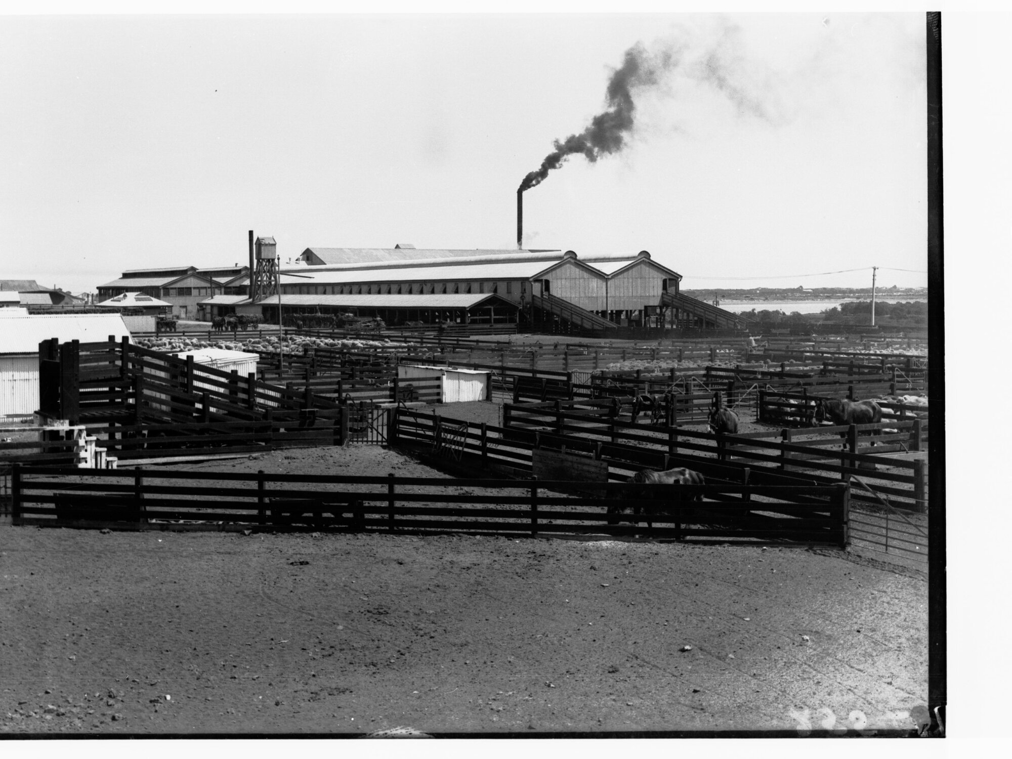 Sheep Yards, Port Adelaide Export Depot