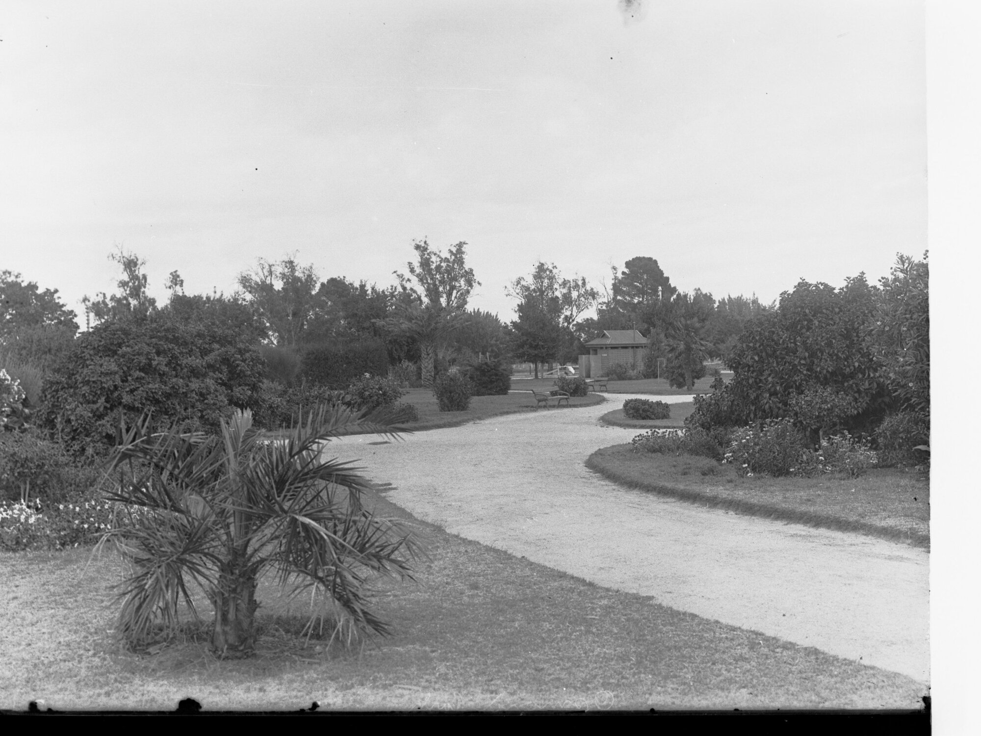 Osmond Park South Terrace Showing Paths Benches and Toilet Block