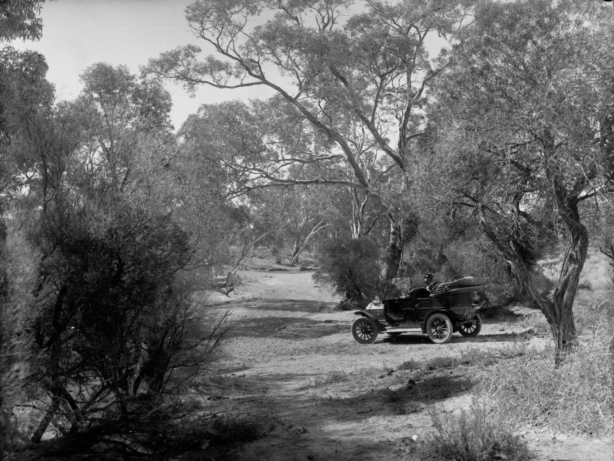 Man in automobile at Mooney Creek