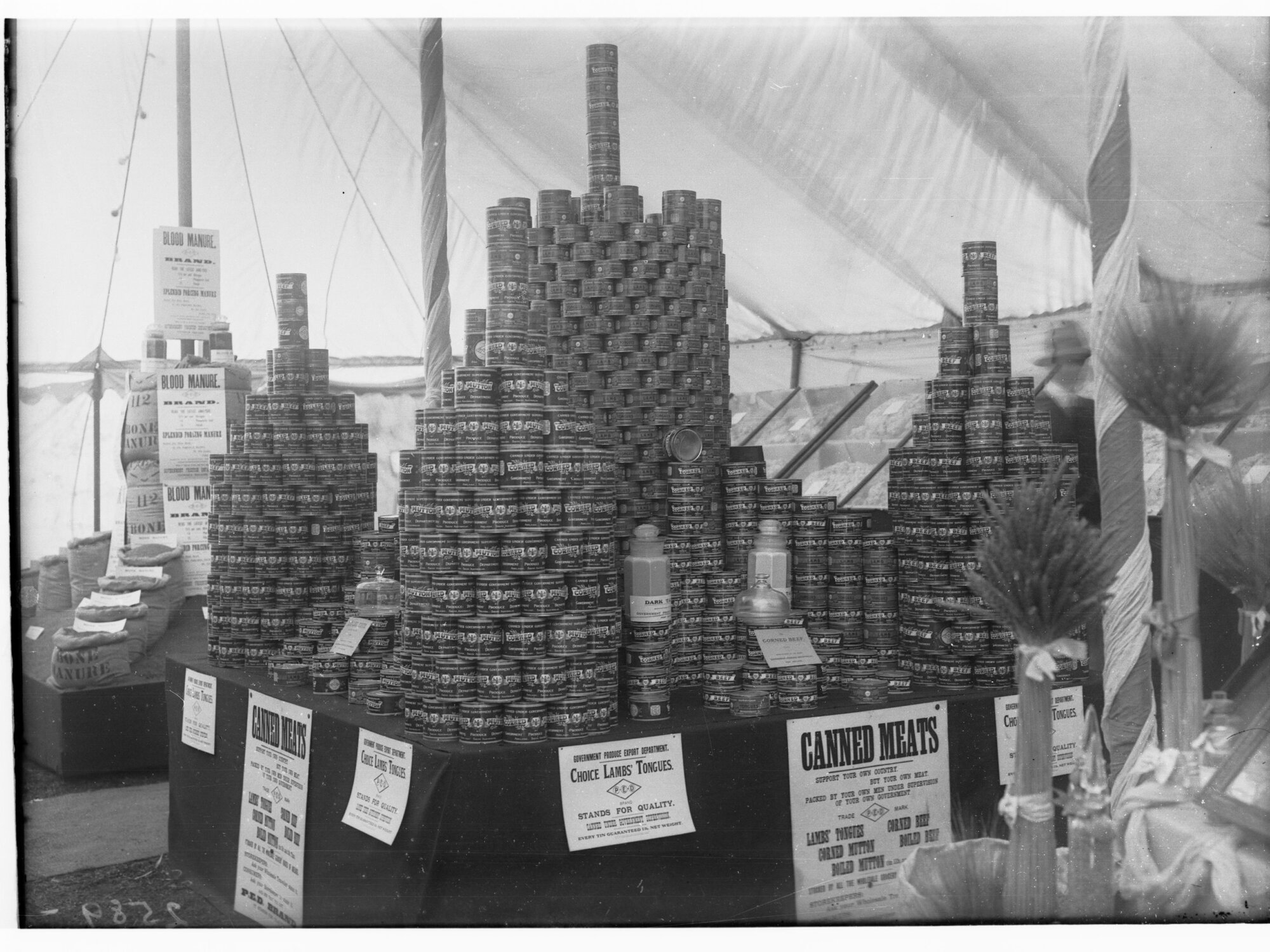 Canned Meats at Government Exhibit at Adelaide