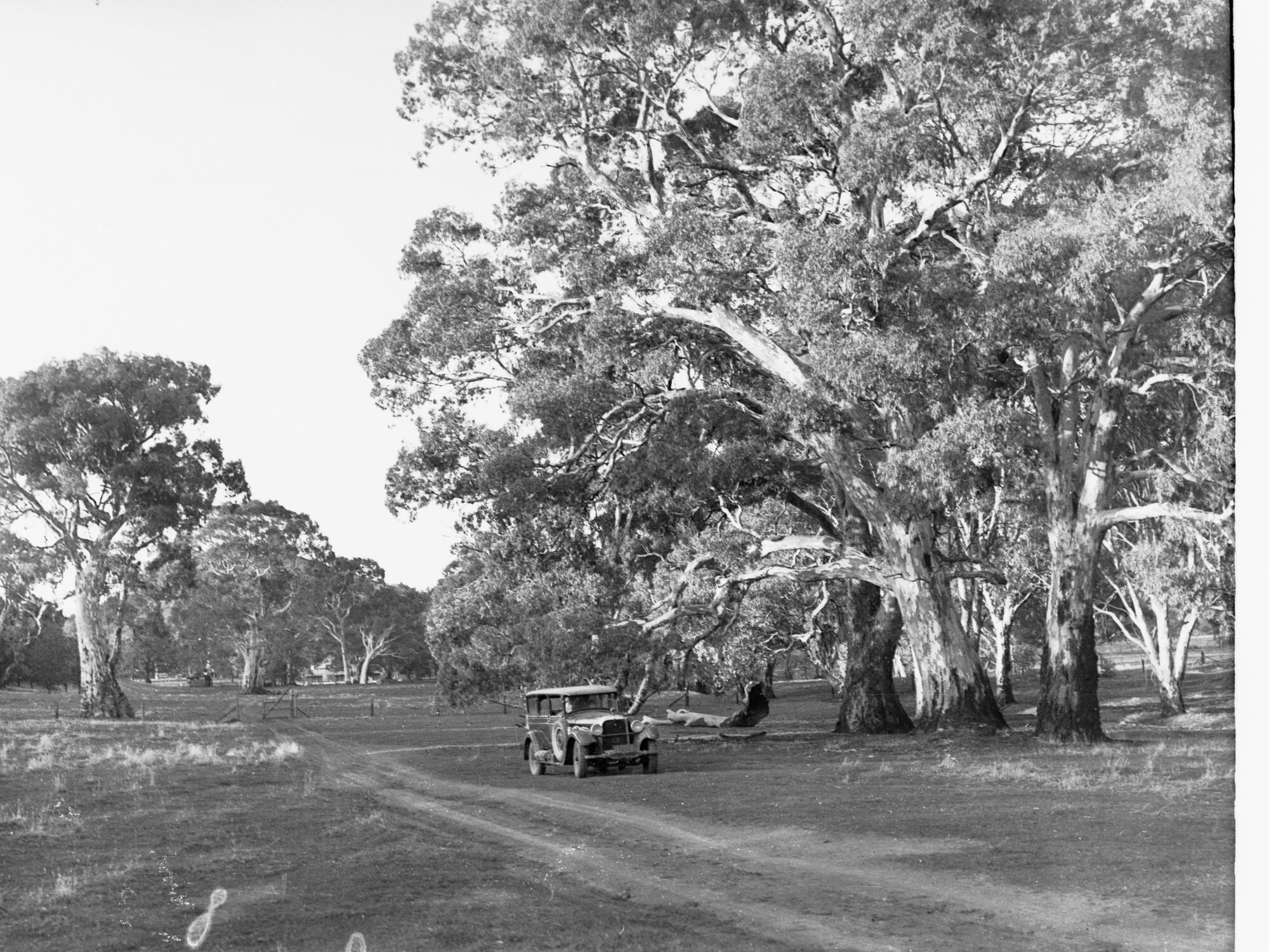 Wilpena Pound Entrance to Flinders Ranges