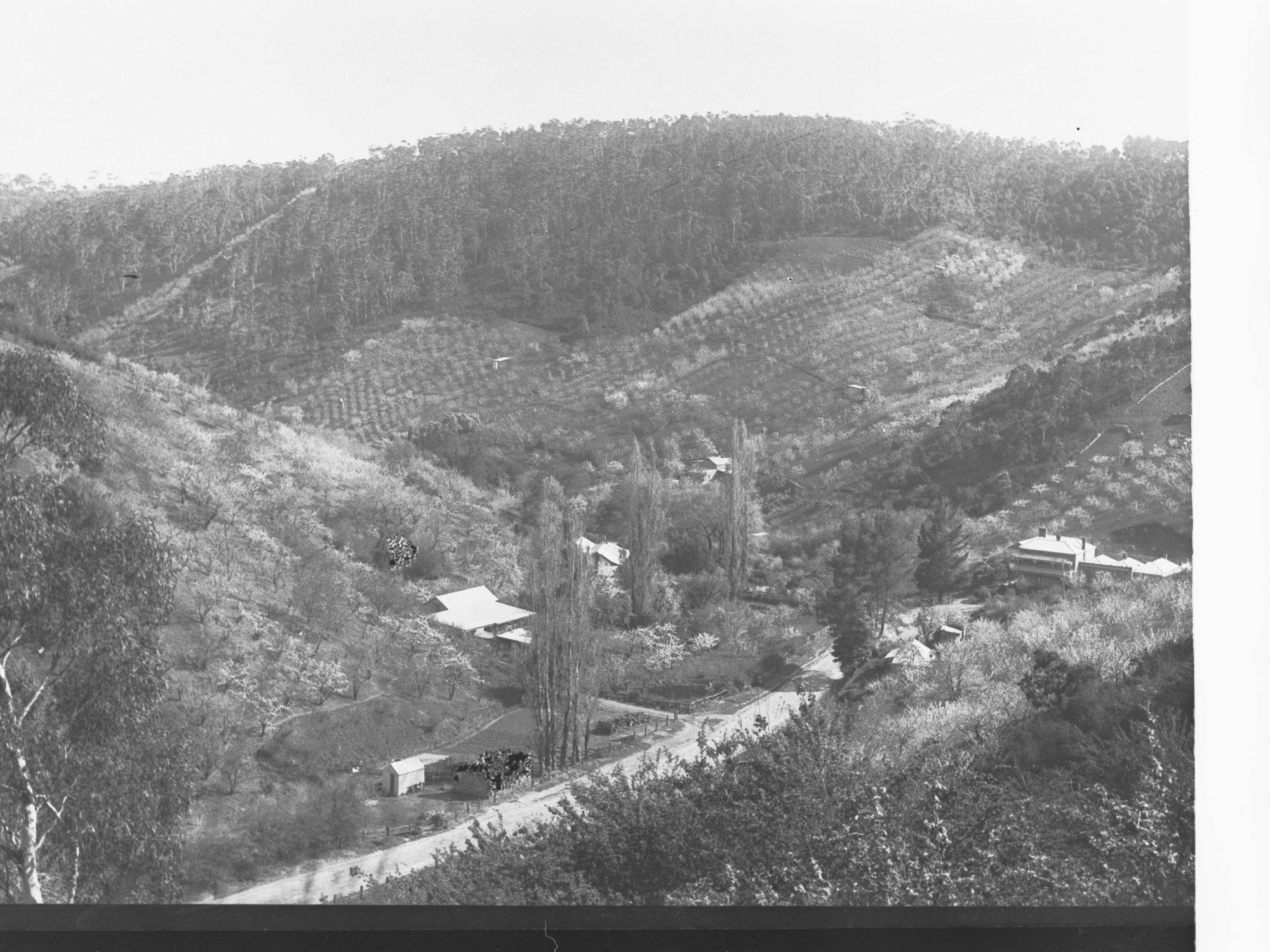 Mount Lofty Ranges, Near Norton Summit