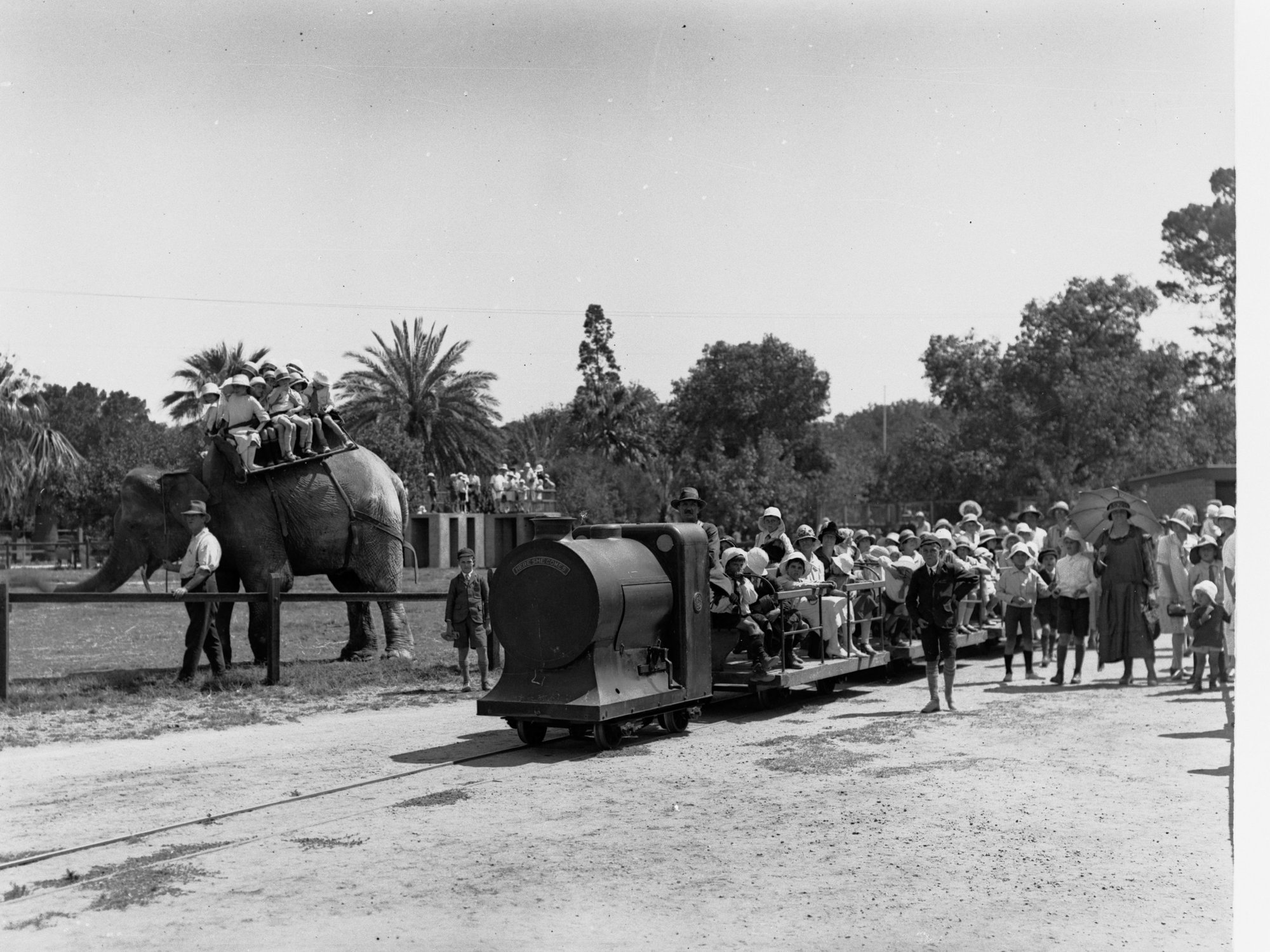 Miniature Train and Elephant Rides