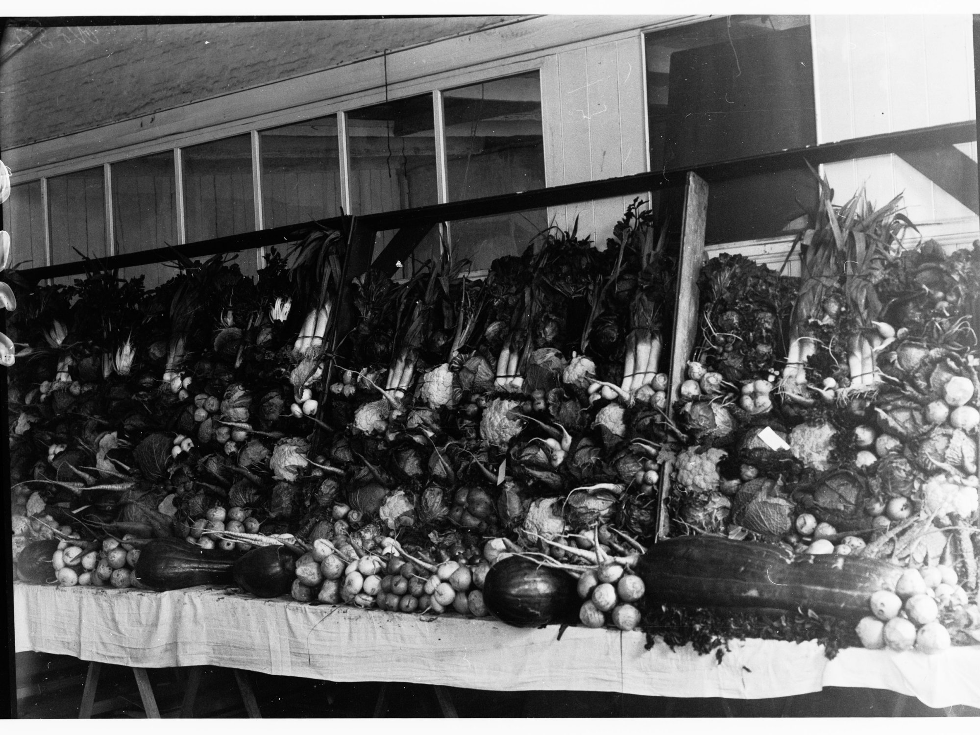 Vegetables on exhibit at the Royal Adelaide Show