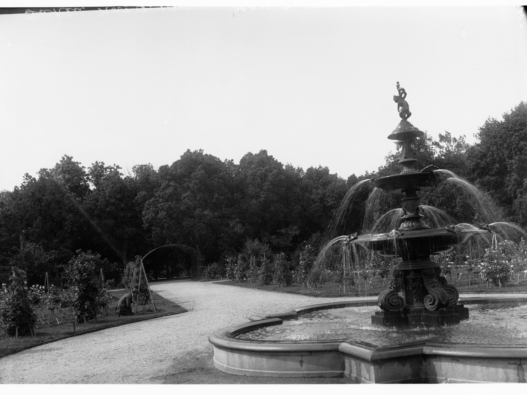 Fountain in the Botanic Gardens