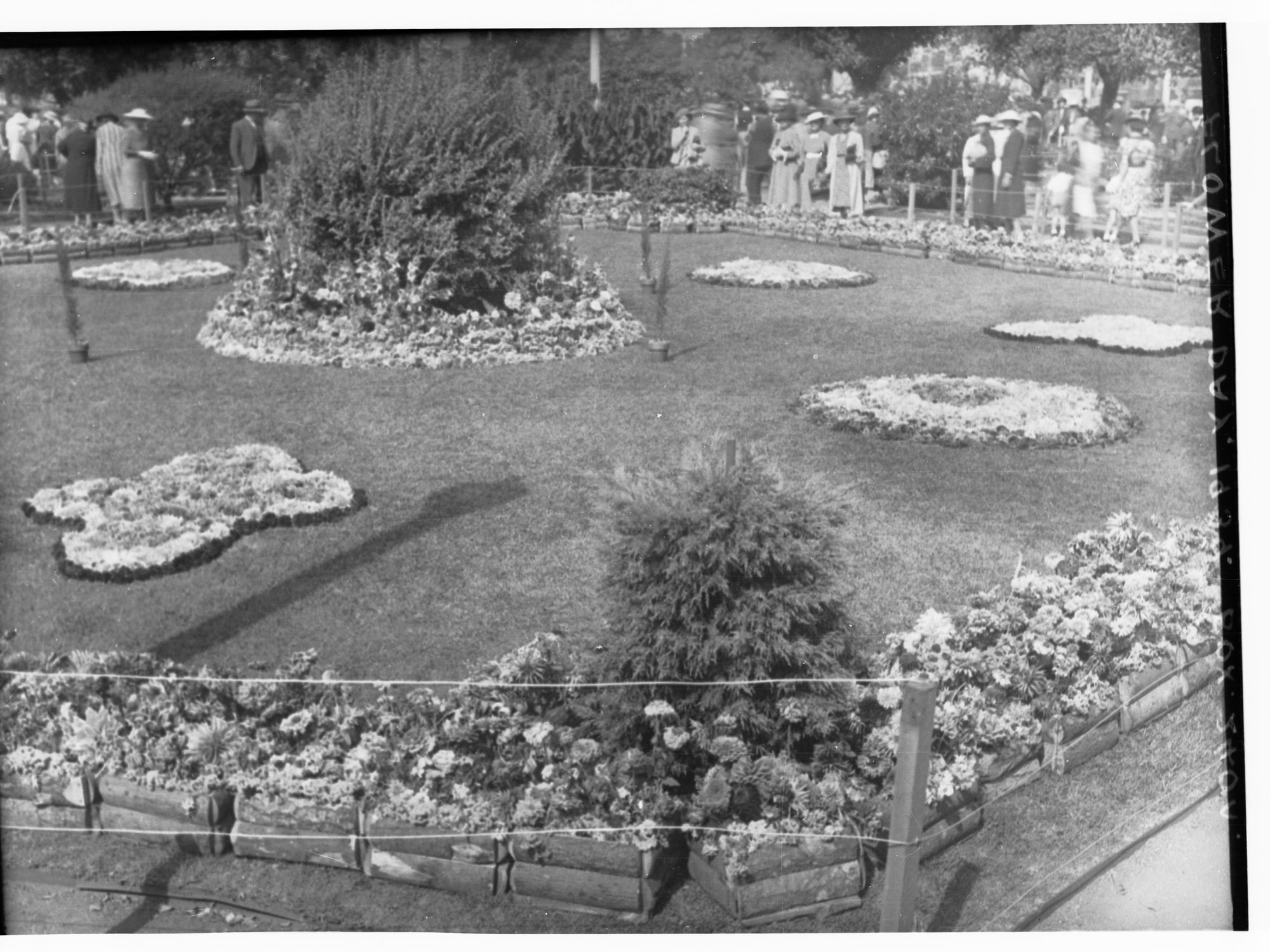 Floral Carpet for Flower Day, Victoria Square showing people