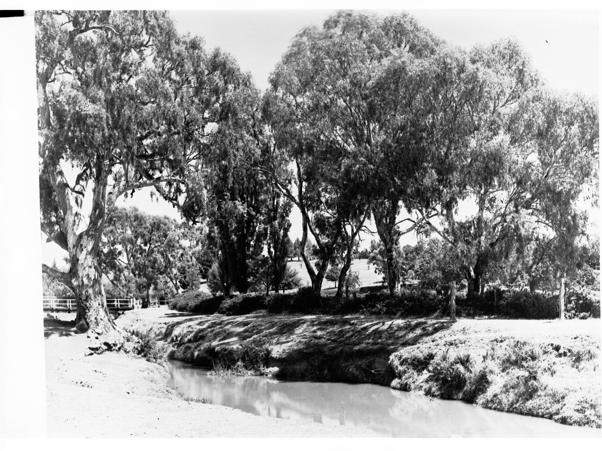 Mount Barker Showing Creek and Small Bridge with Gum Trees