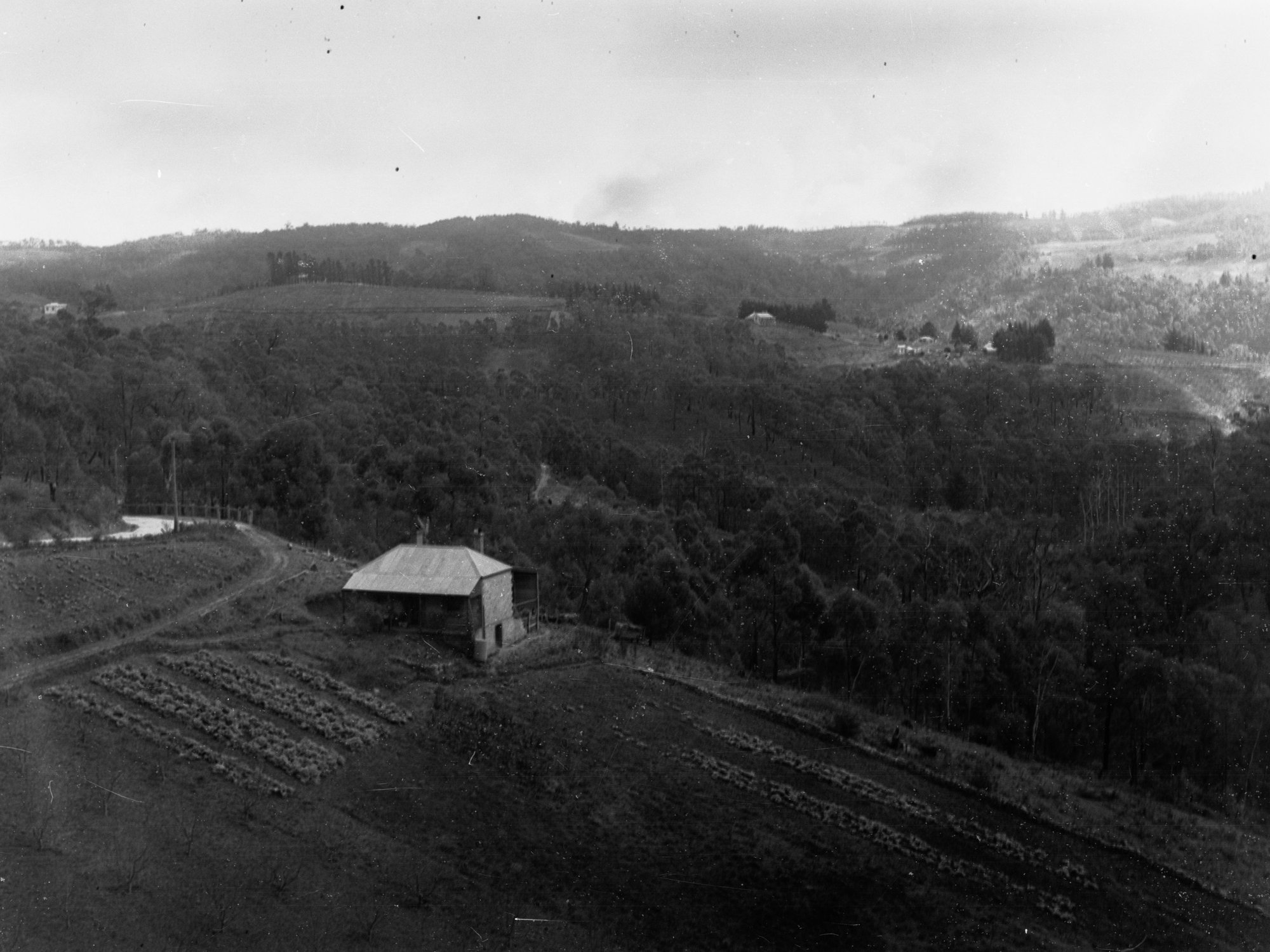 W.J. Bishop's House, Basket Range