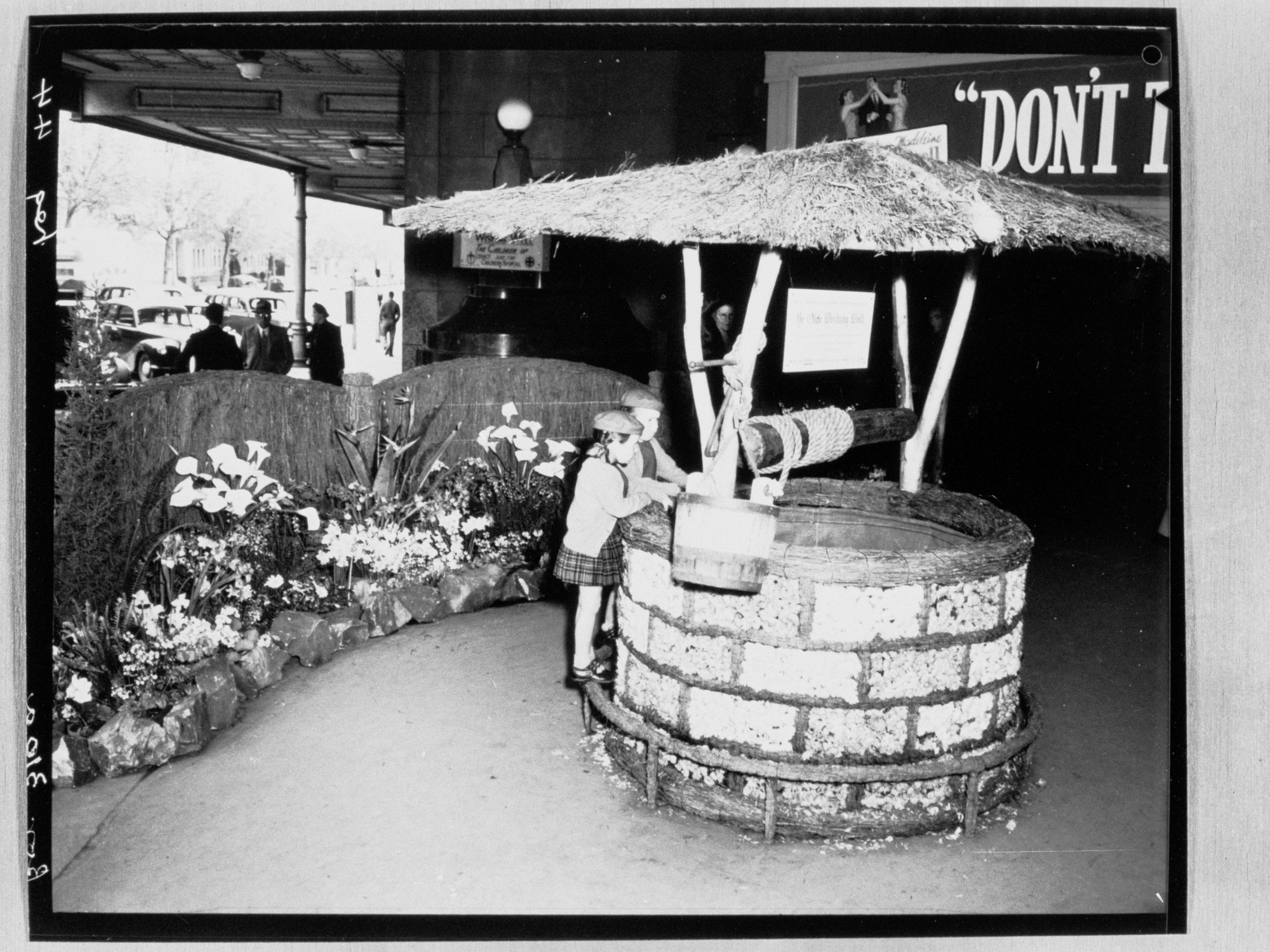 National Flower Day Festival held in Adelaide on the 21st September 1949