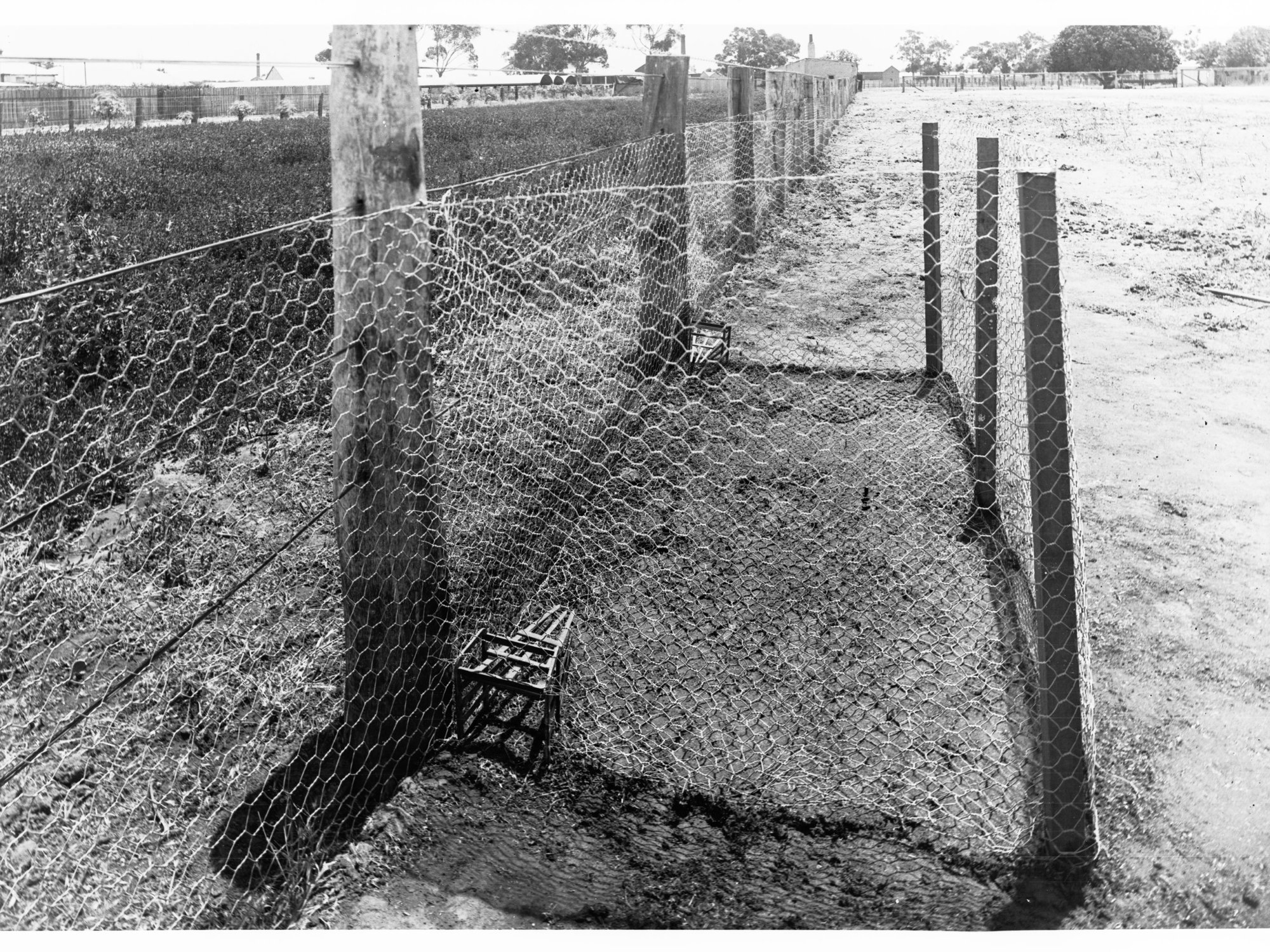 Surveyor Generals Trap