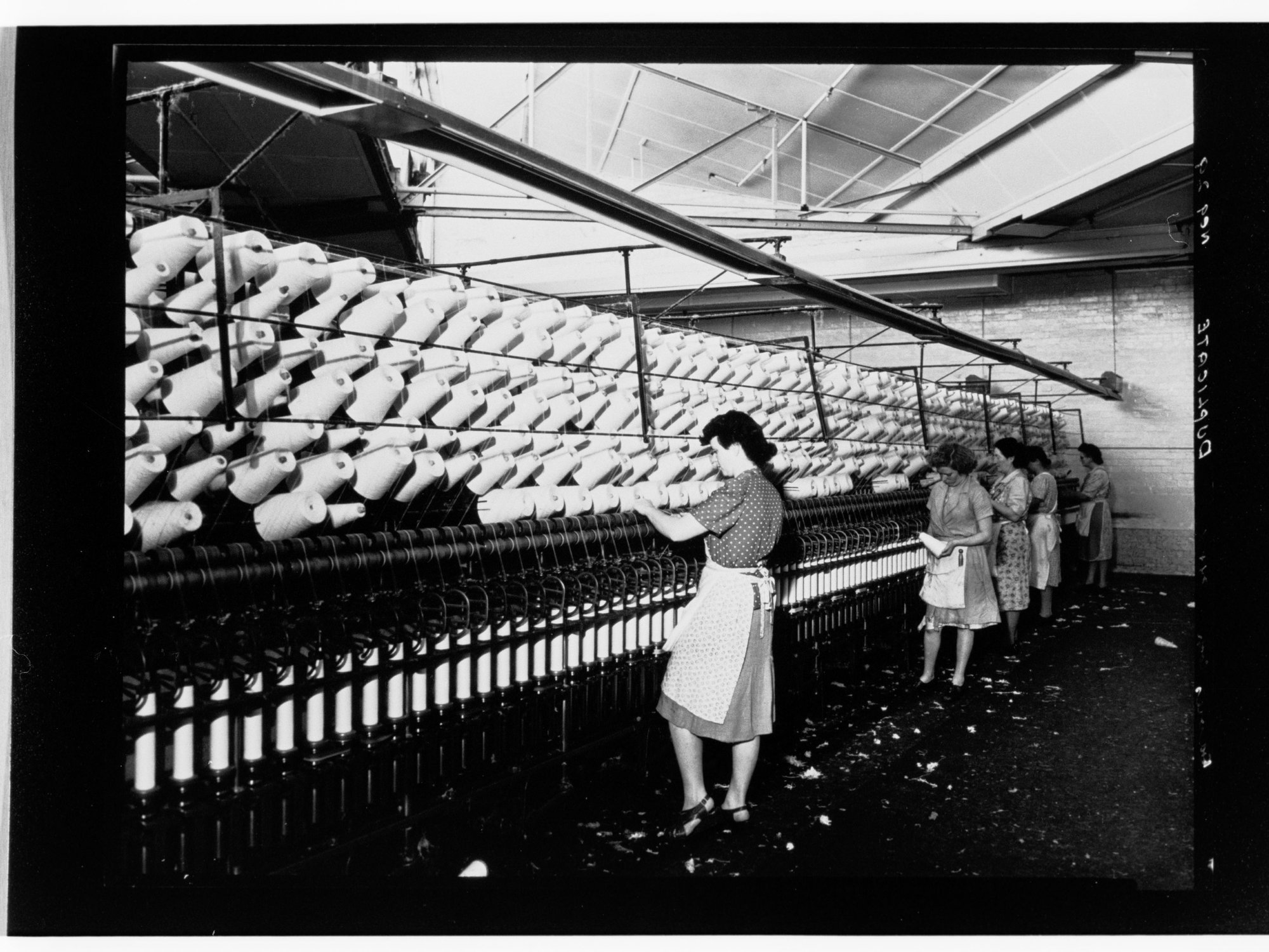 Davies Coop &amp; Company 