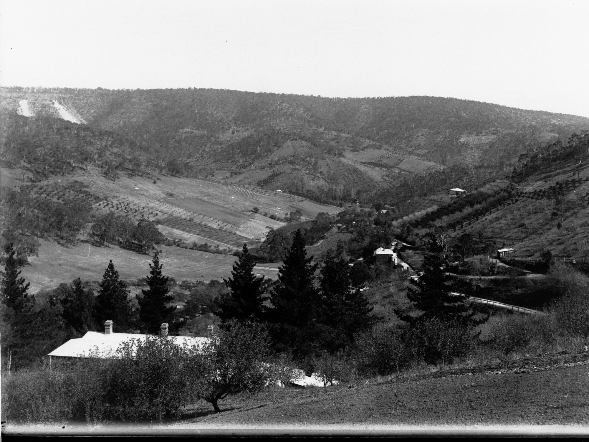 View of Institute Road, Montacute, Mount Lofty Ranges