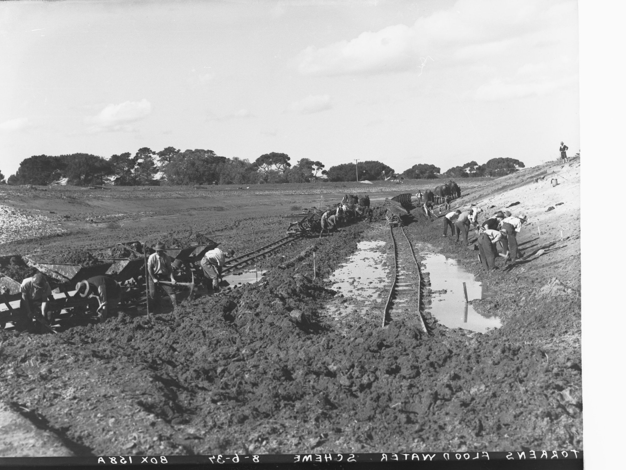 Torrens Flood Water Scheme Showing Men at Work and Horses and Carts