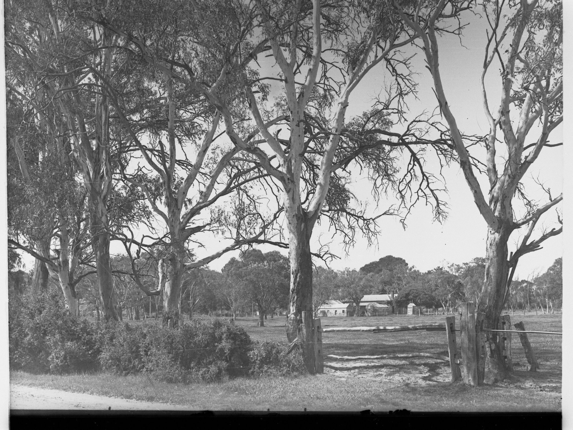 Fulham Homestead Showing Buildings in the Distance