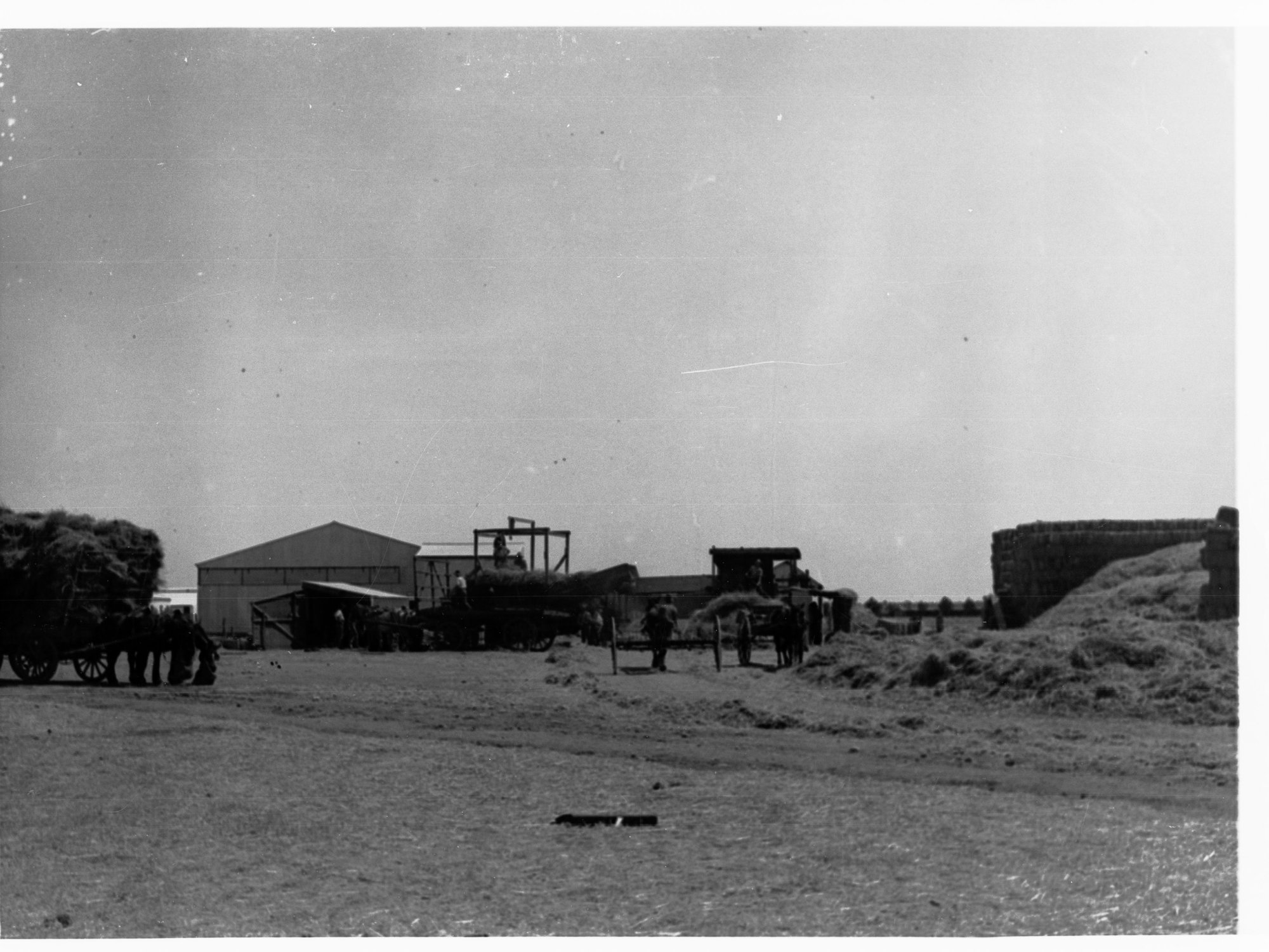 Hay stacks - showing men working and horse and wagons