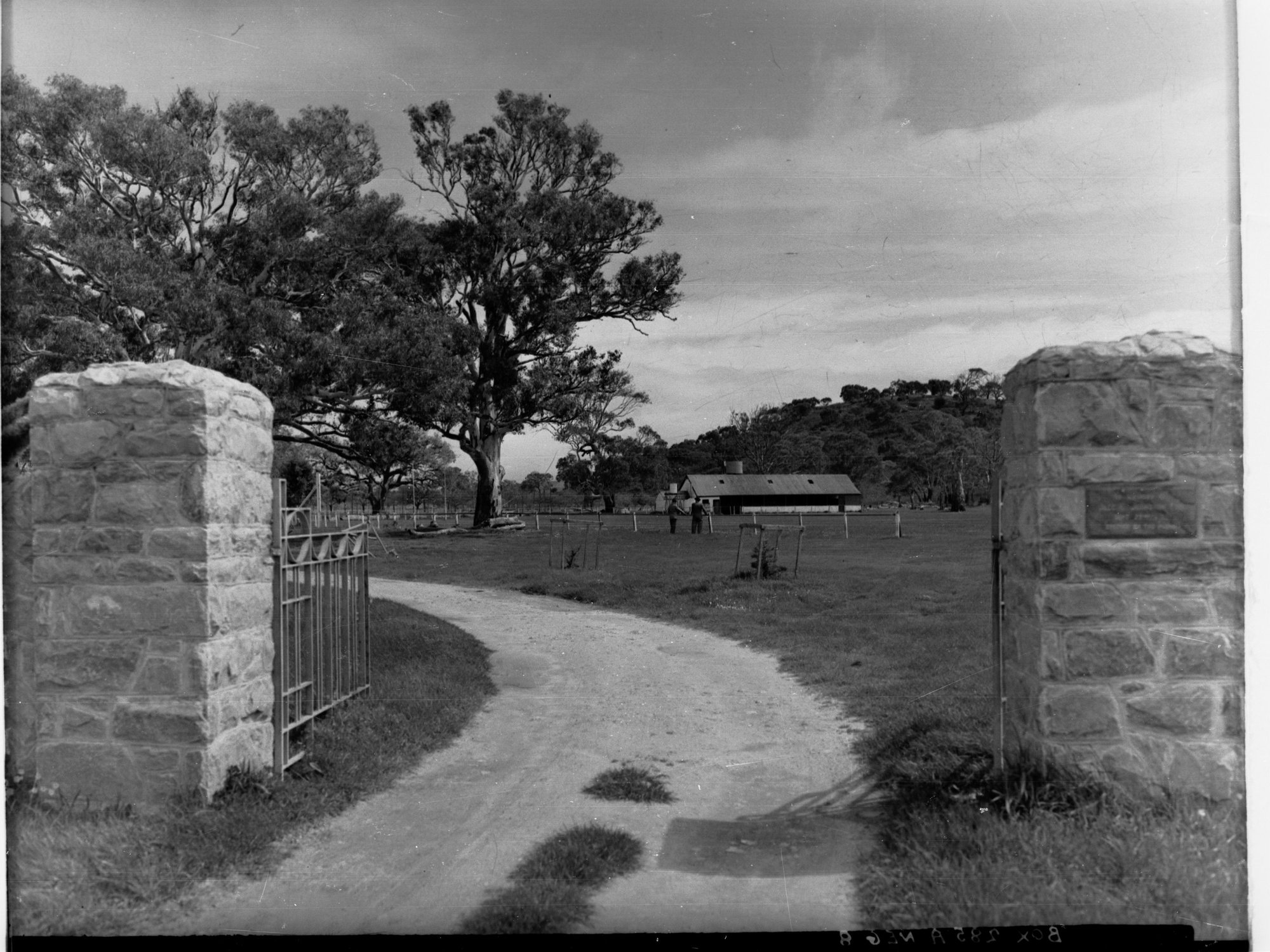 Oval at McLaren Vale
