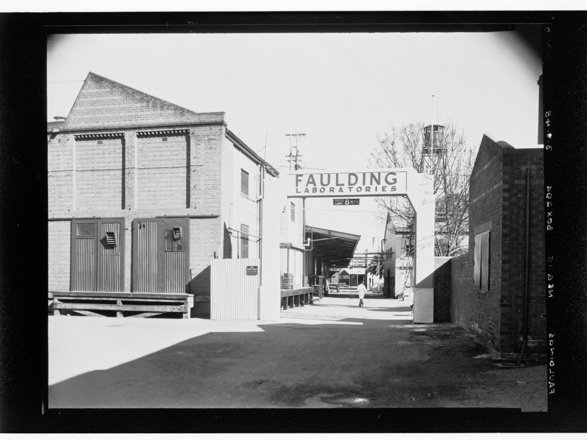 Faulding Laboratories 