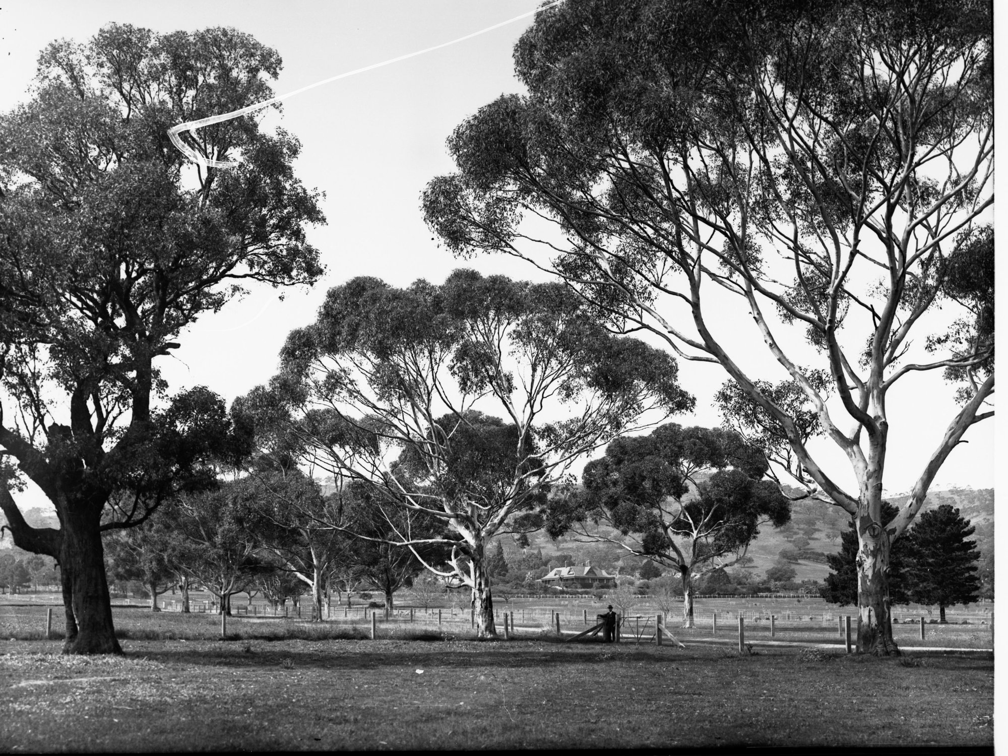 Waite Research Homestead in Distance