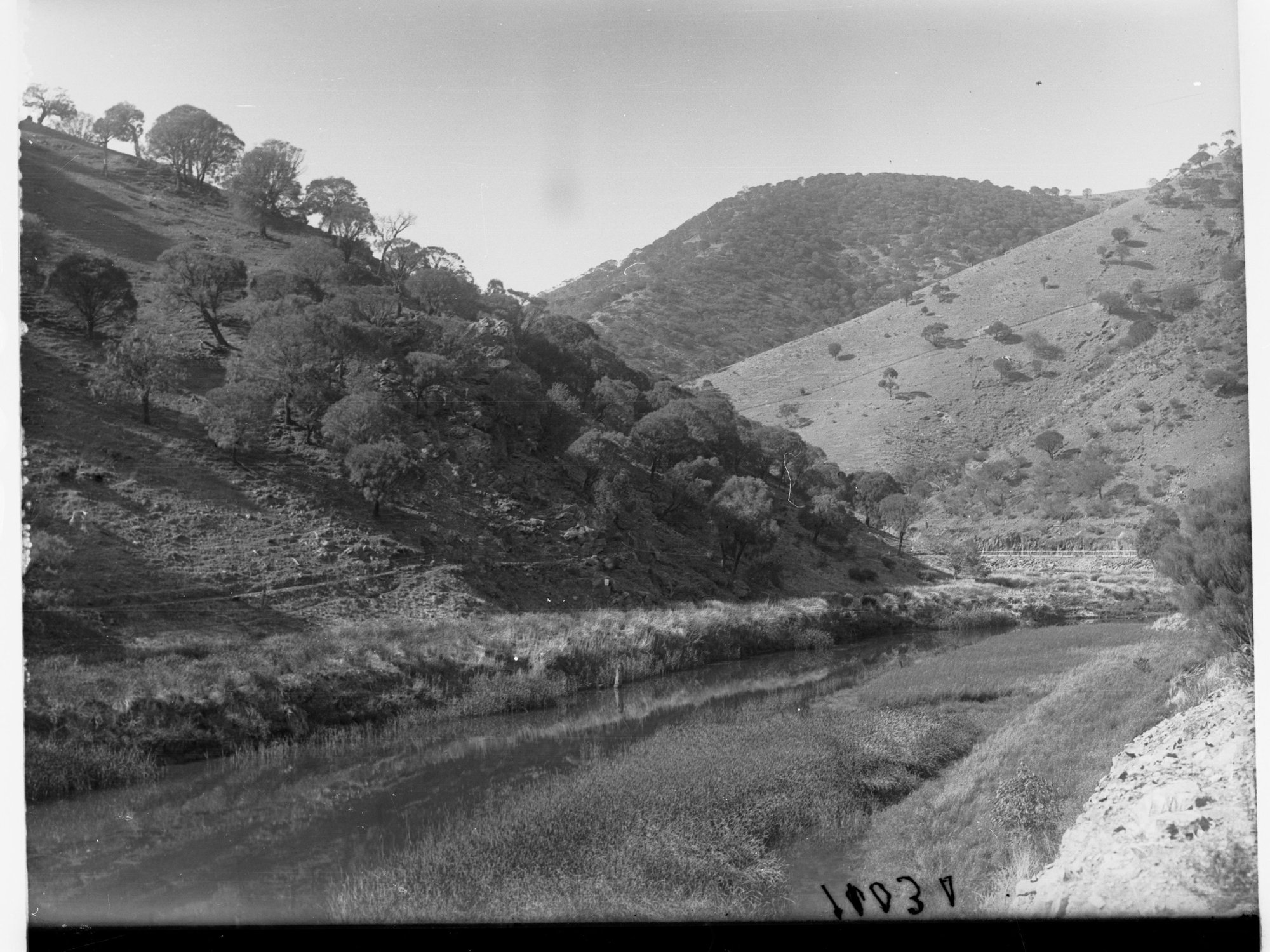 Torrens Gorge Road