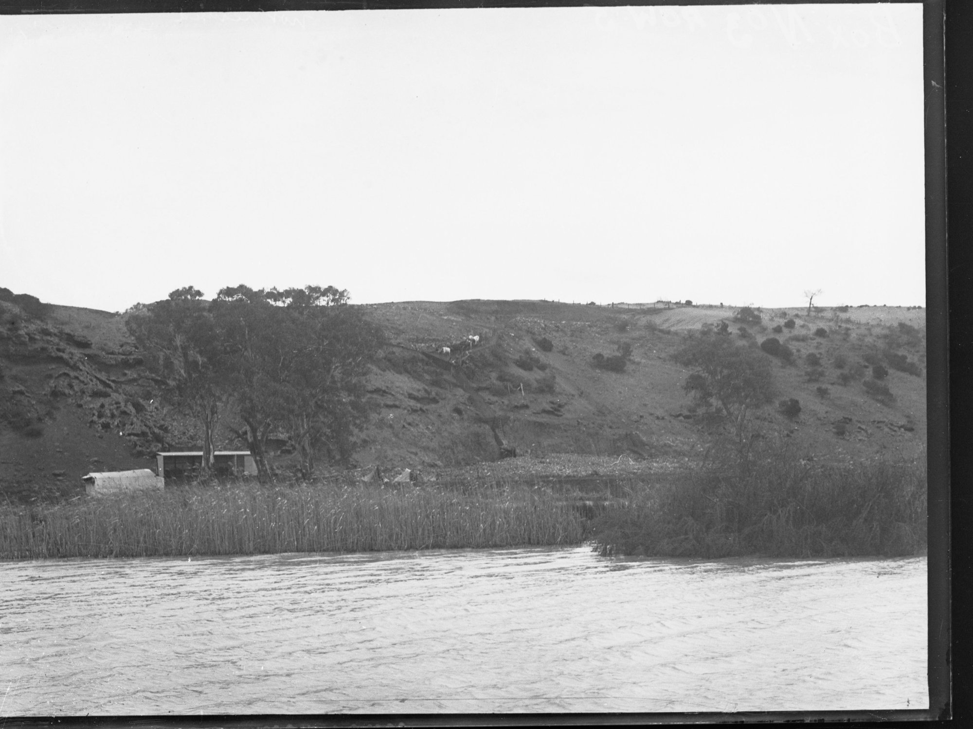 Murray River. August 1913.