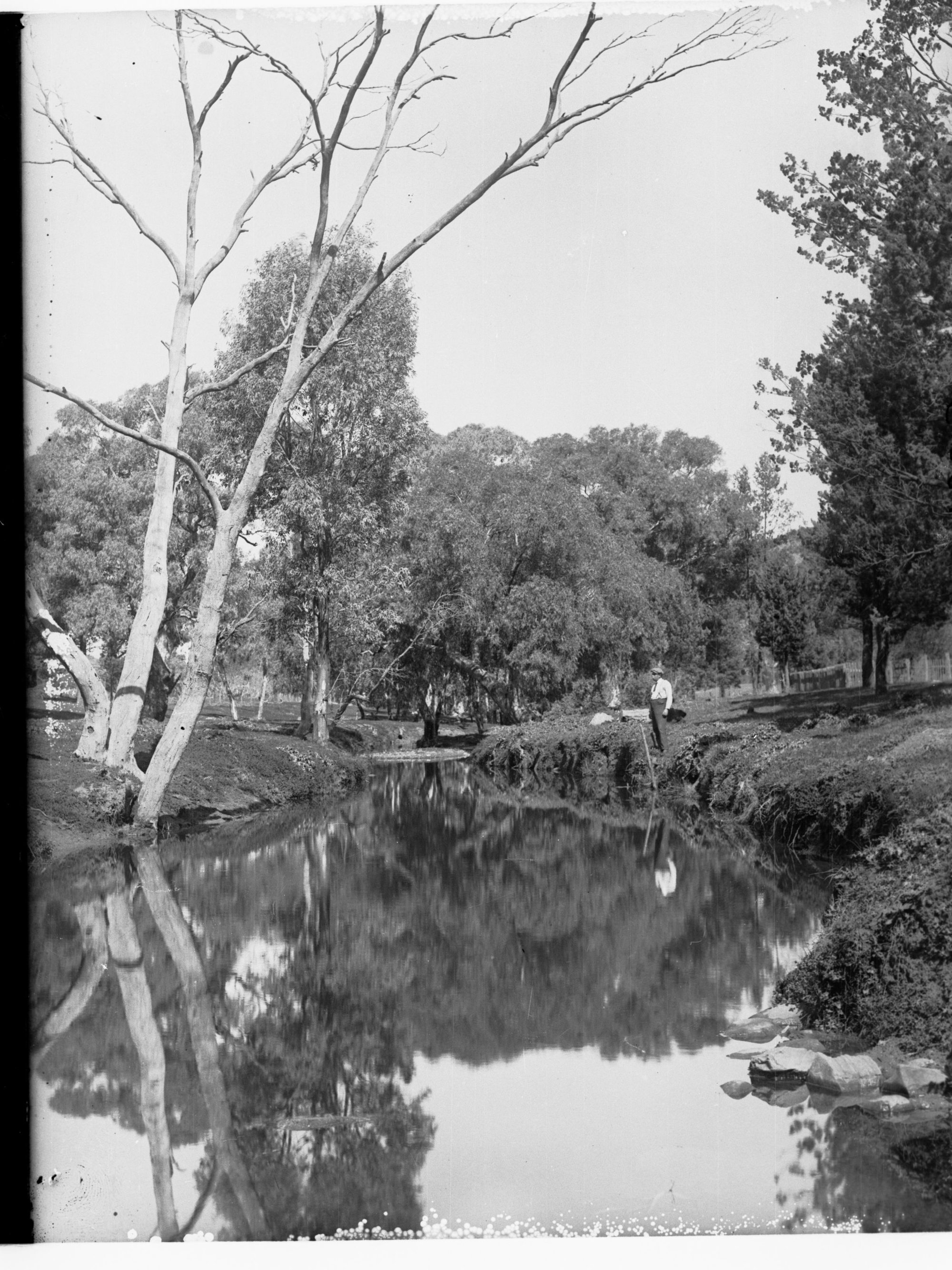Wilpena Creek at Head Station
