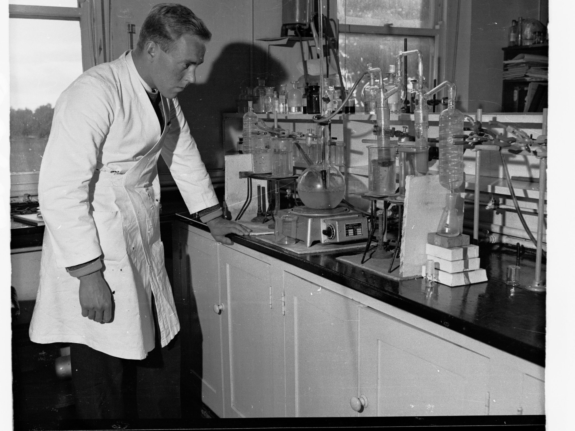 Scientist Working in a Laboratory