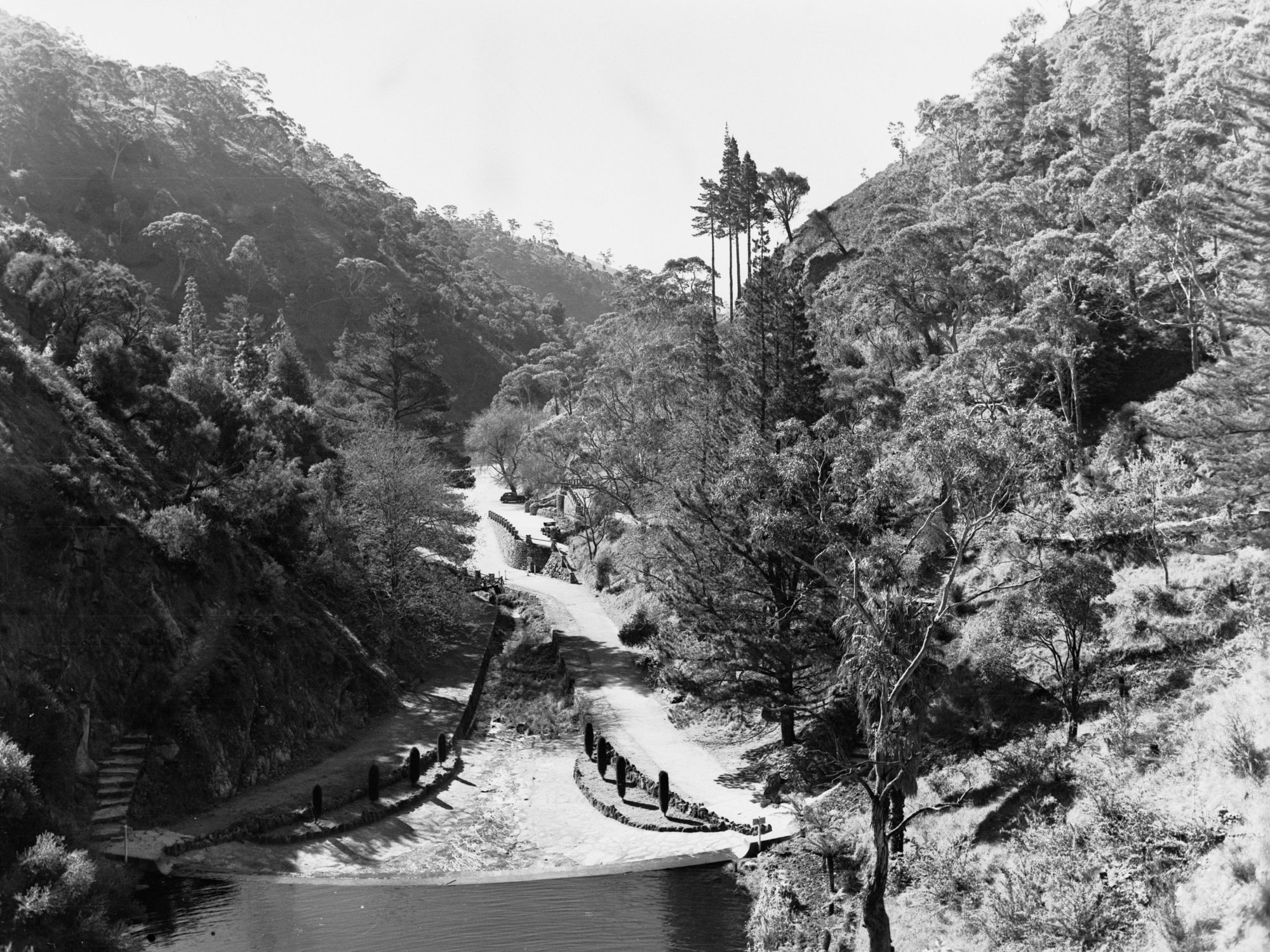Waterfall Gully Scenic Walk