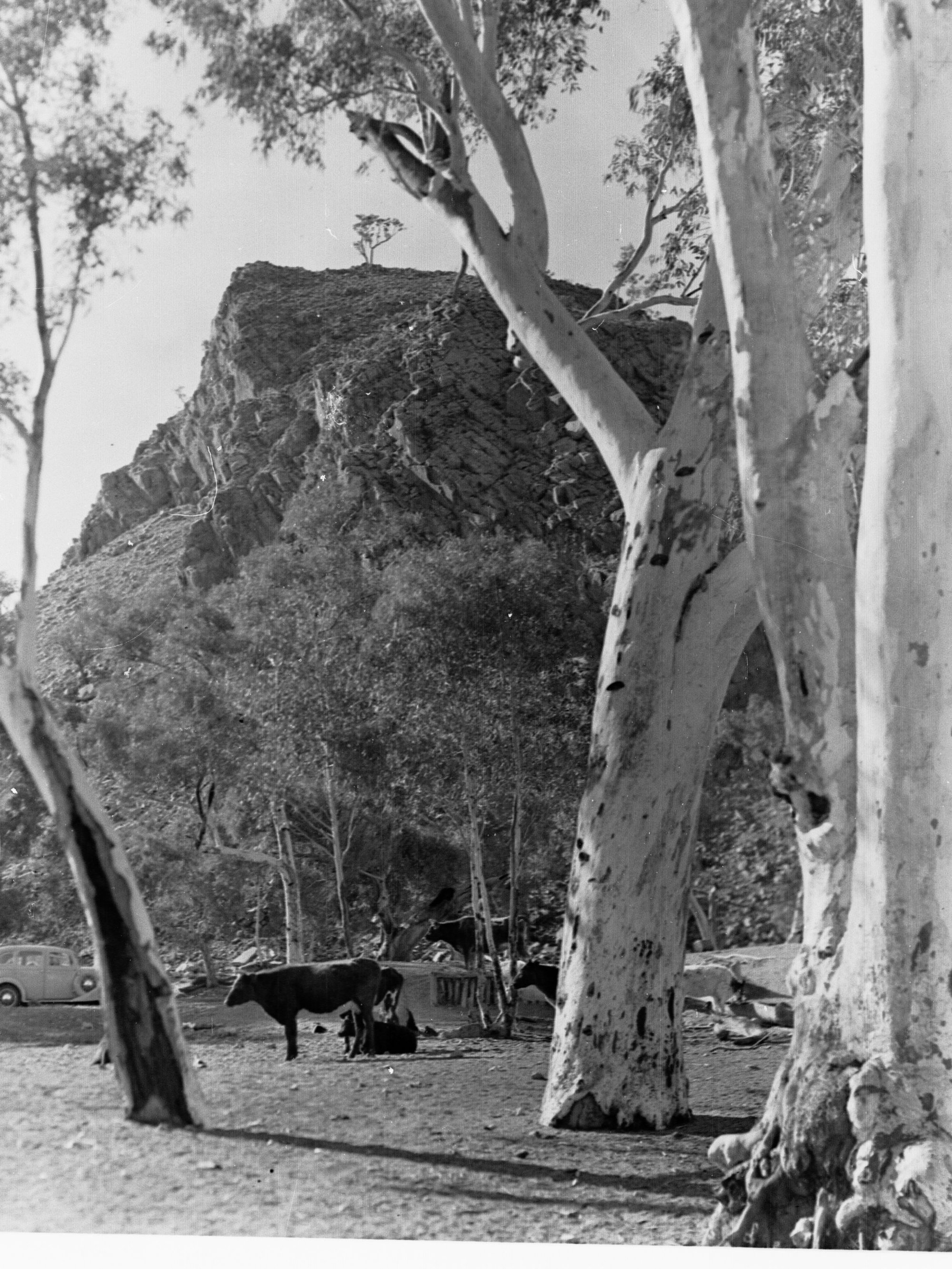 View of  Waterhole Near Wilpena