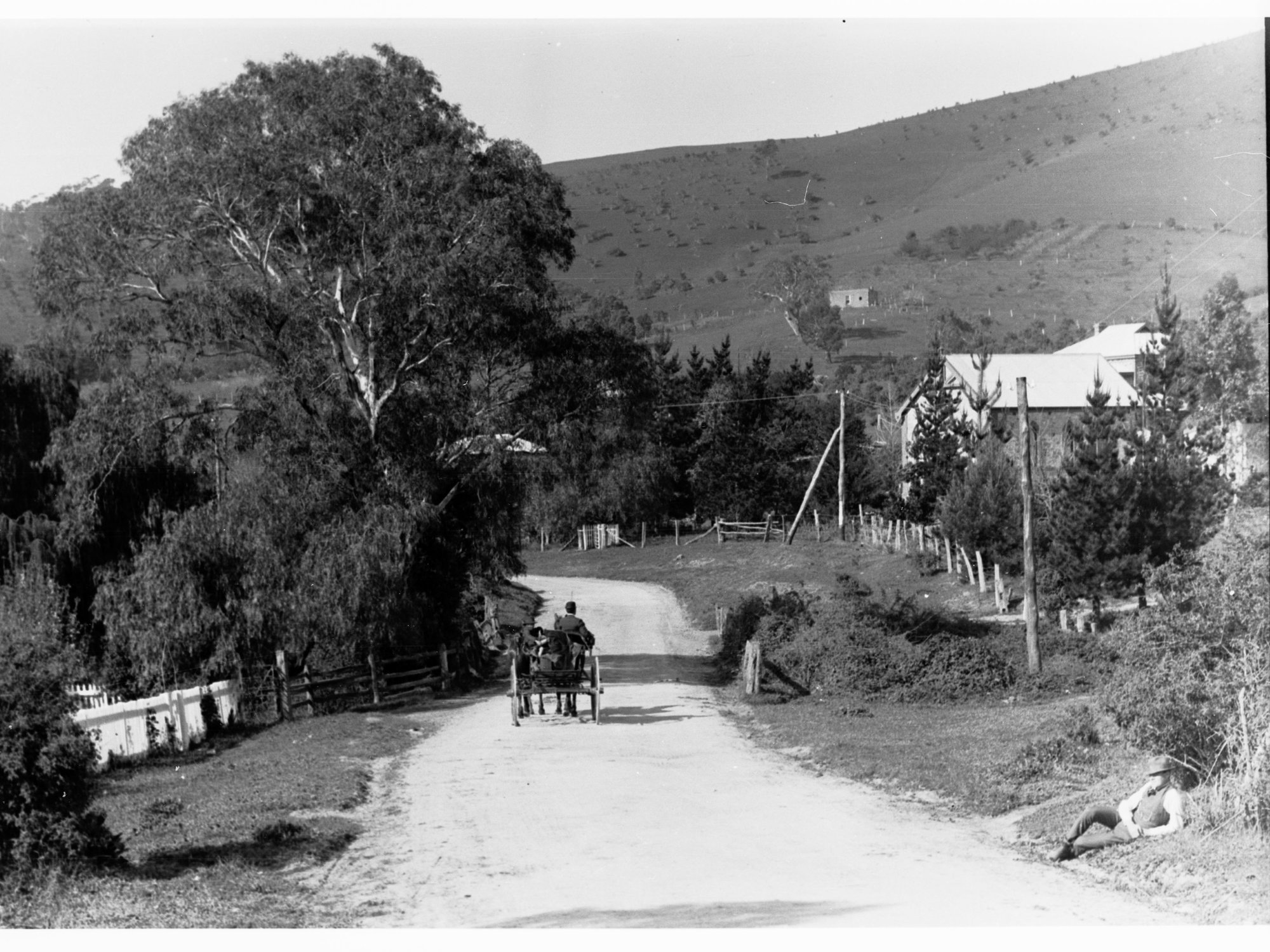 Horse and cart on road at Coromandel Valley