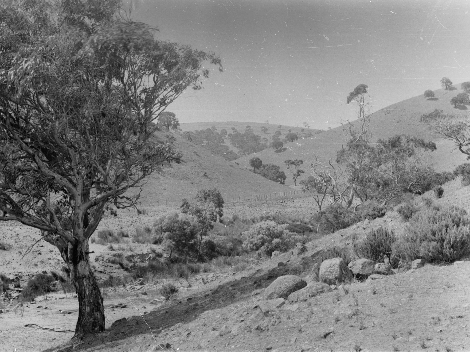 Hills at Yankalilla