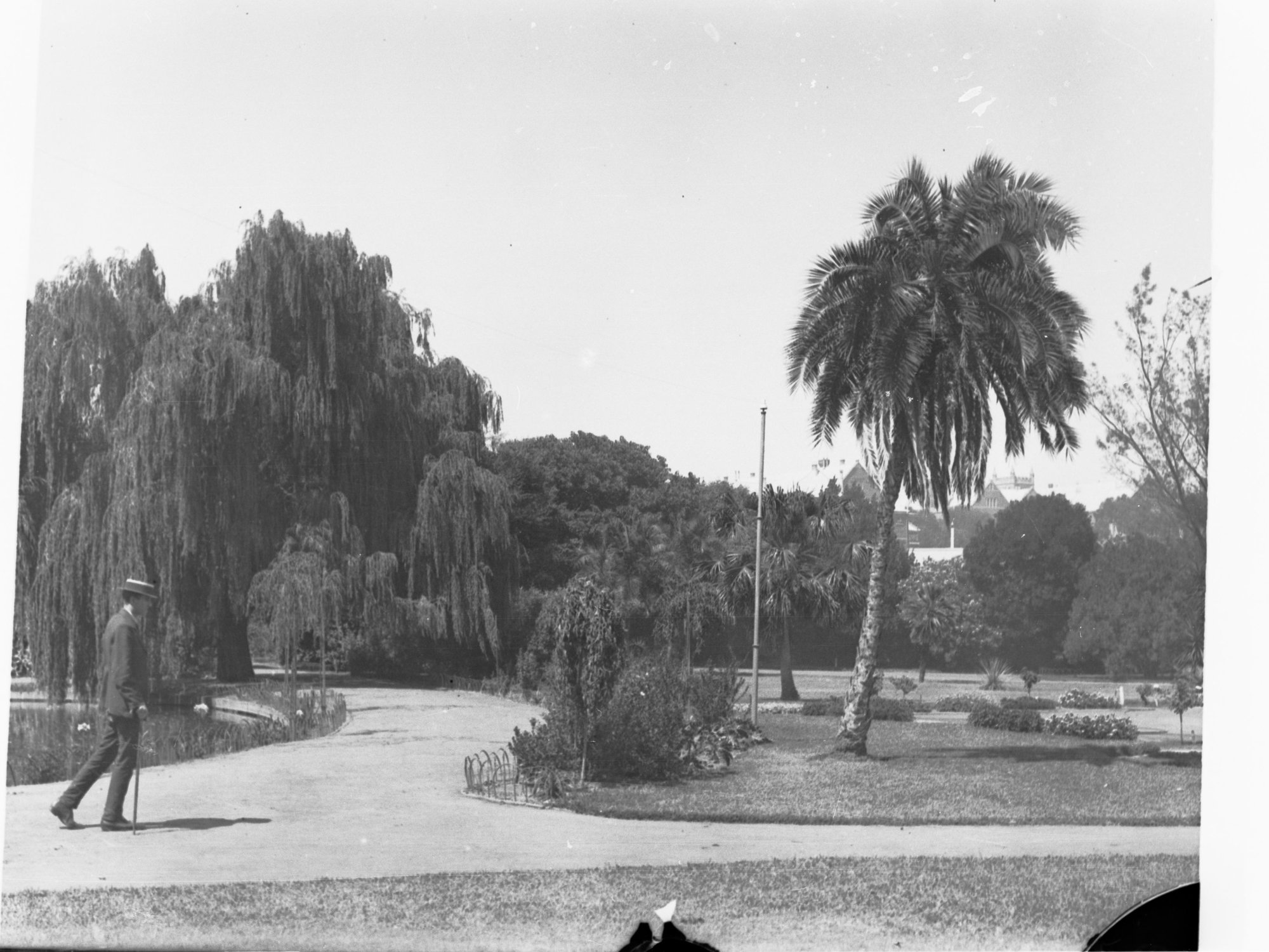 Botanic Gardens showing man with walking stick