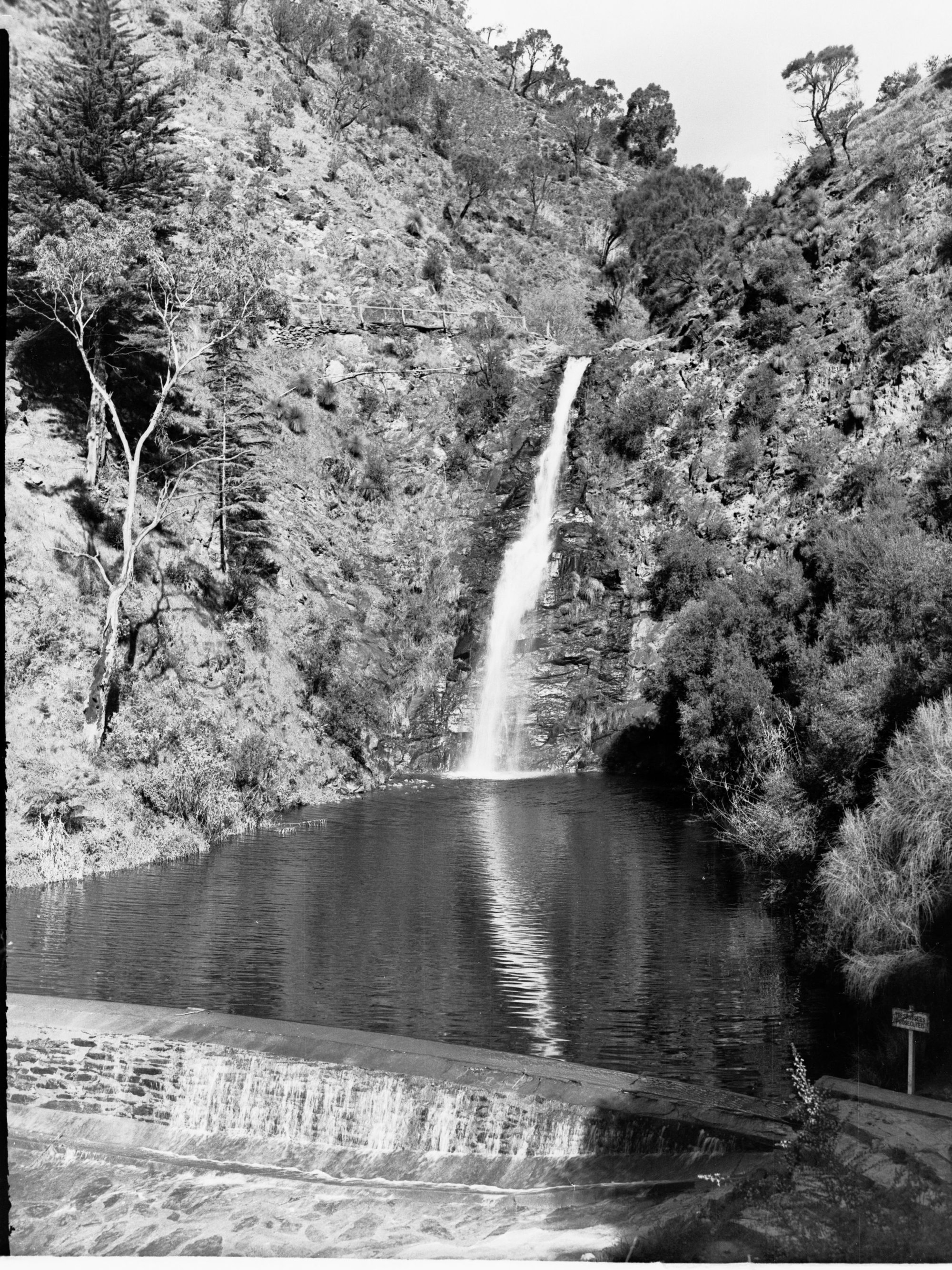 Waterfall Gully Showing Waterfall