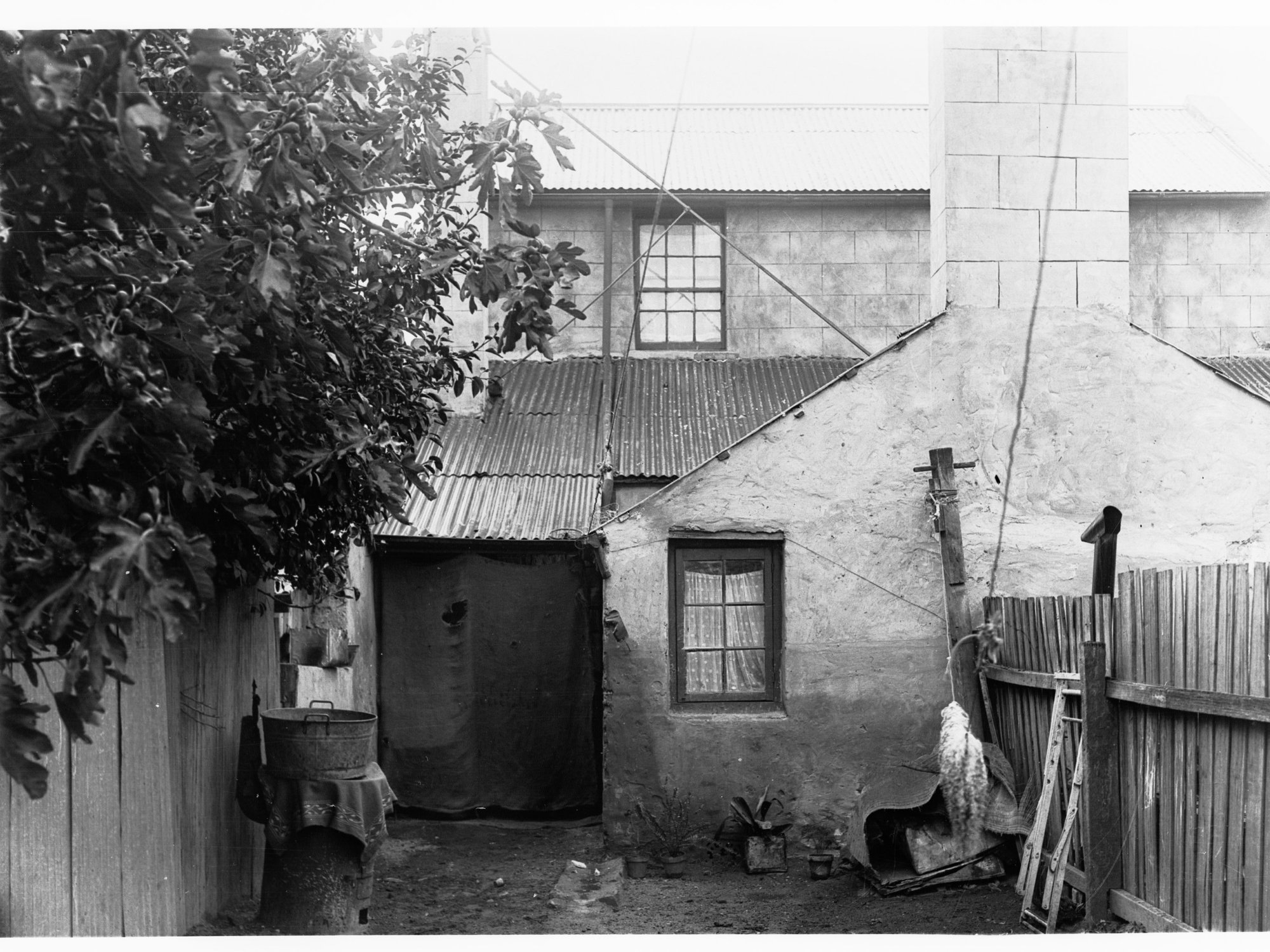 Rear of working class house, North Street, Adelaide