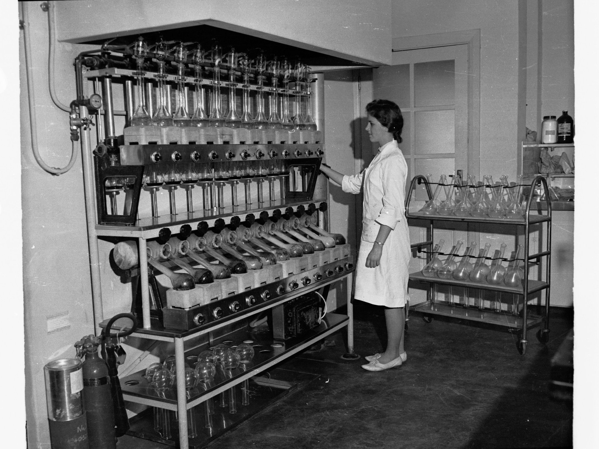 Scientist Working in a Laboratory