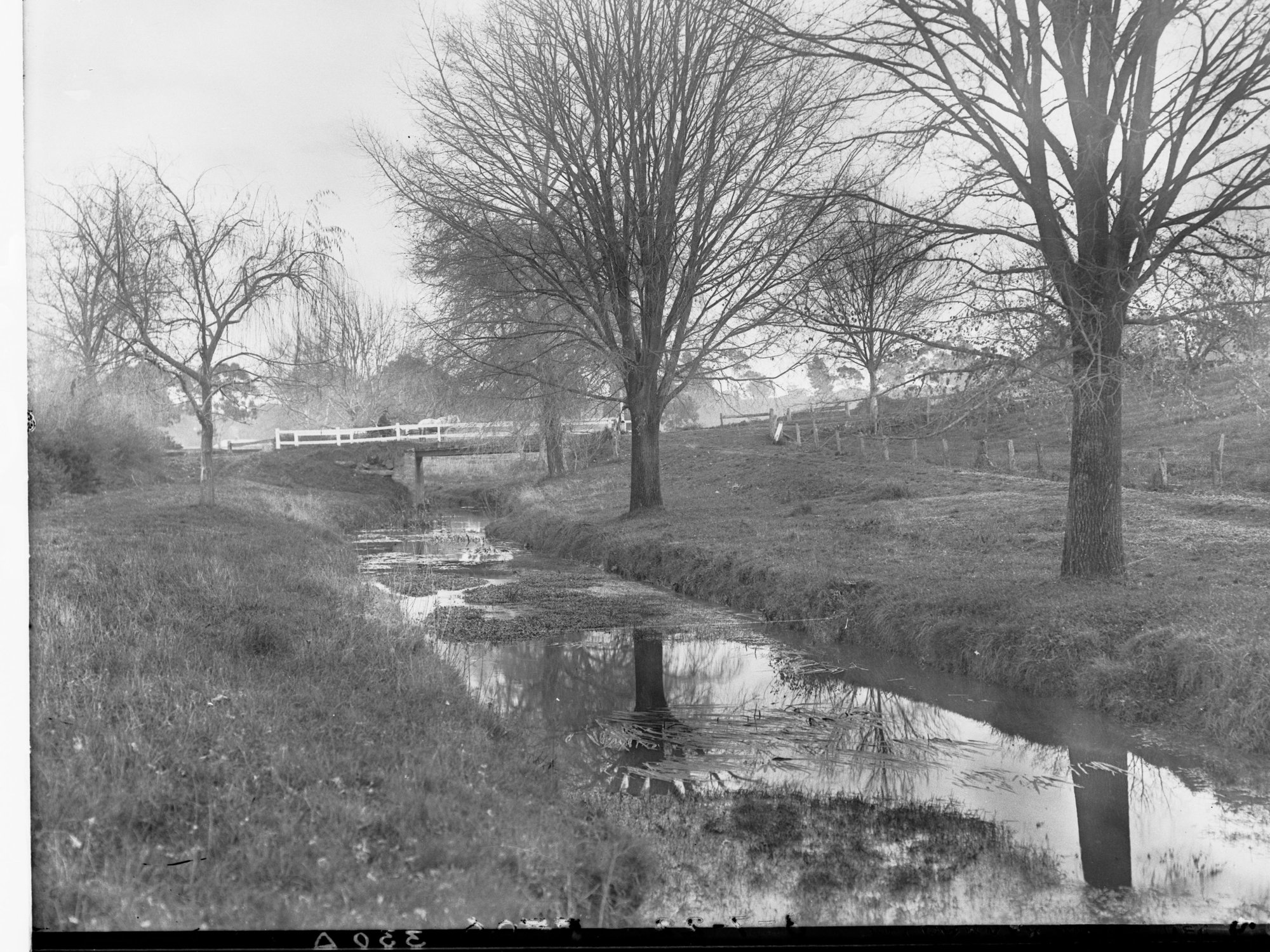 Bridge Over a River at Mount Barker